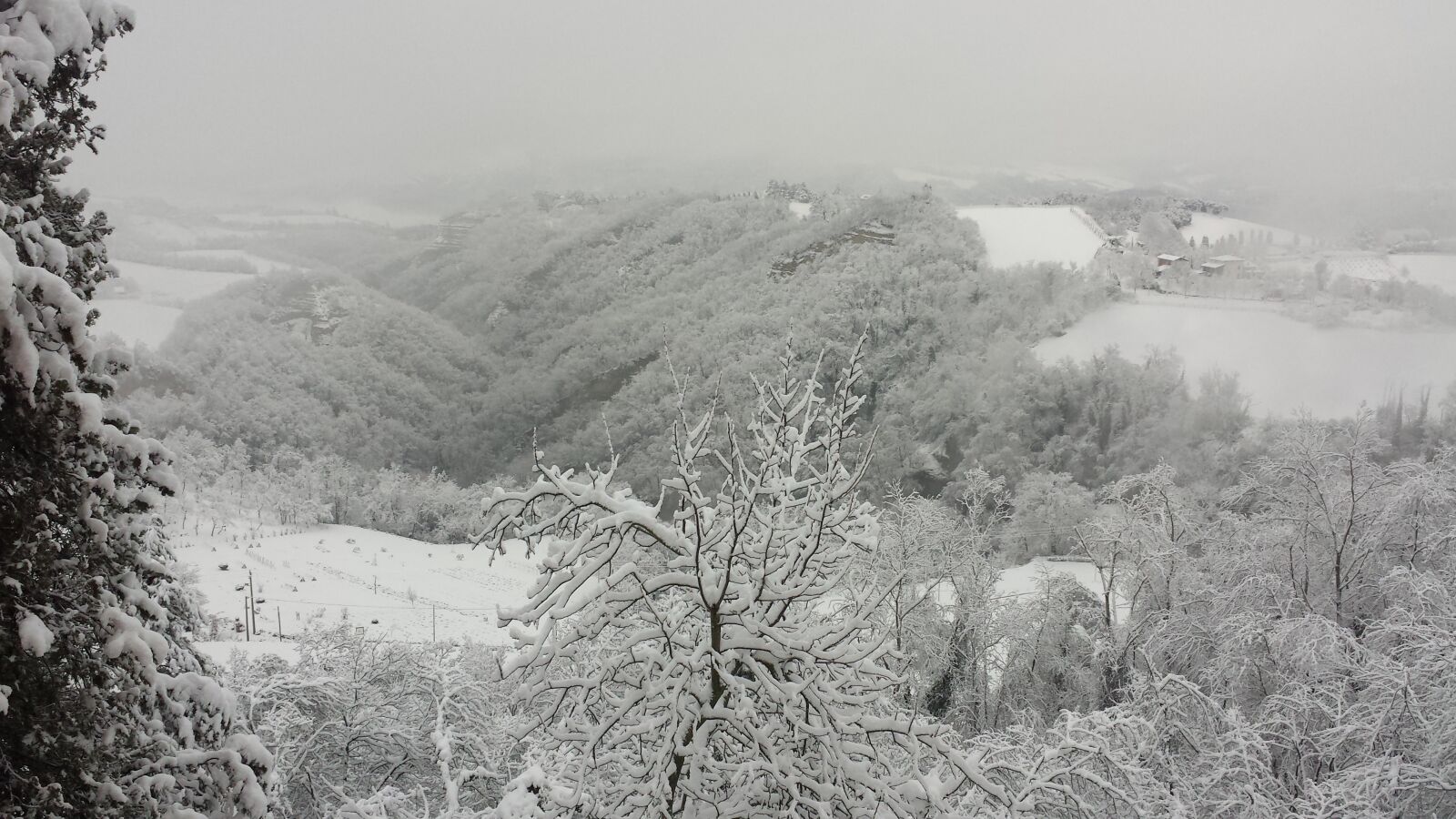 Samsung Galaxy S4 sample photo. Neve, alberi, febbraio photography
