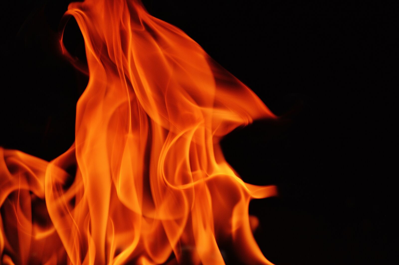 Nikon D3200 sample photo. Flame, embers, fire photography