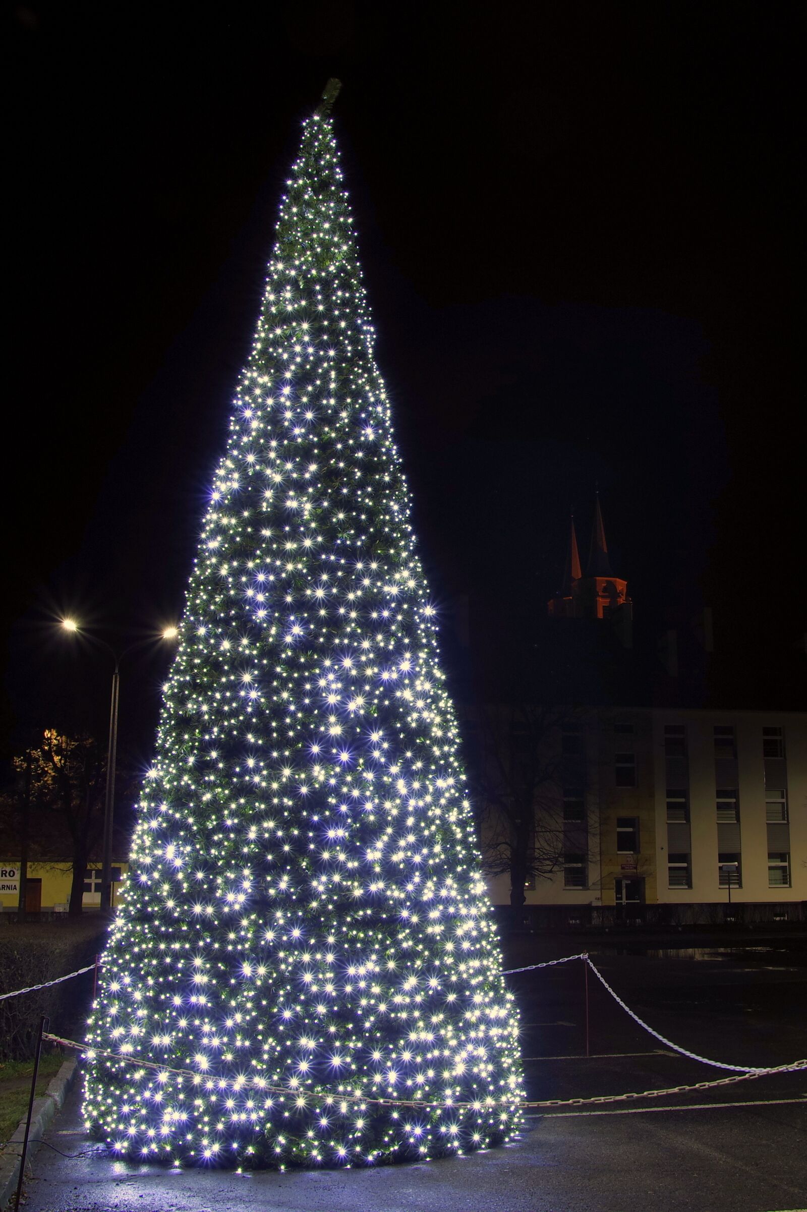 Pentax K-S2 sample photo. Christmas tree, the lights photography
