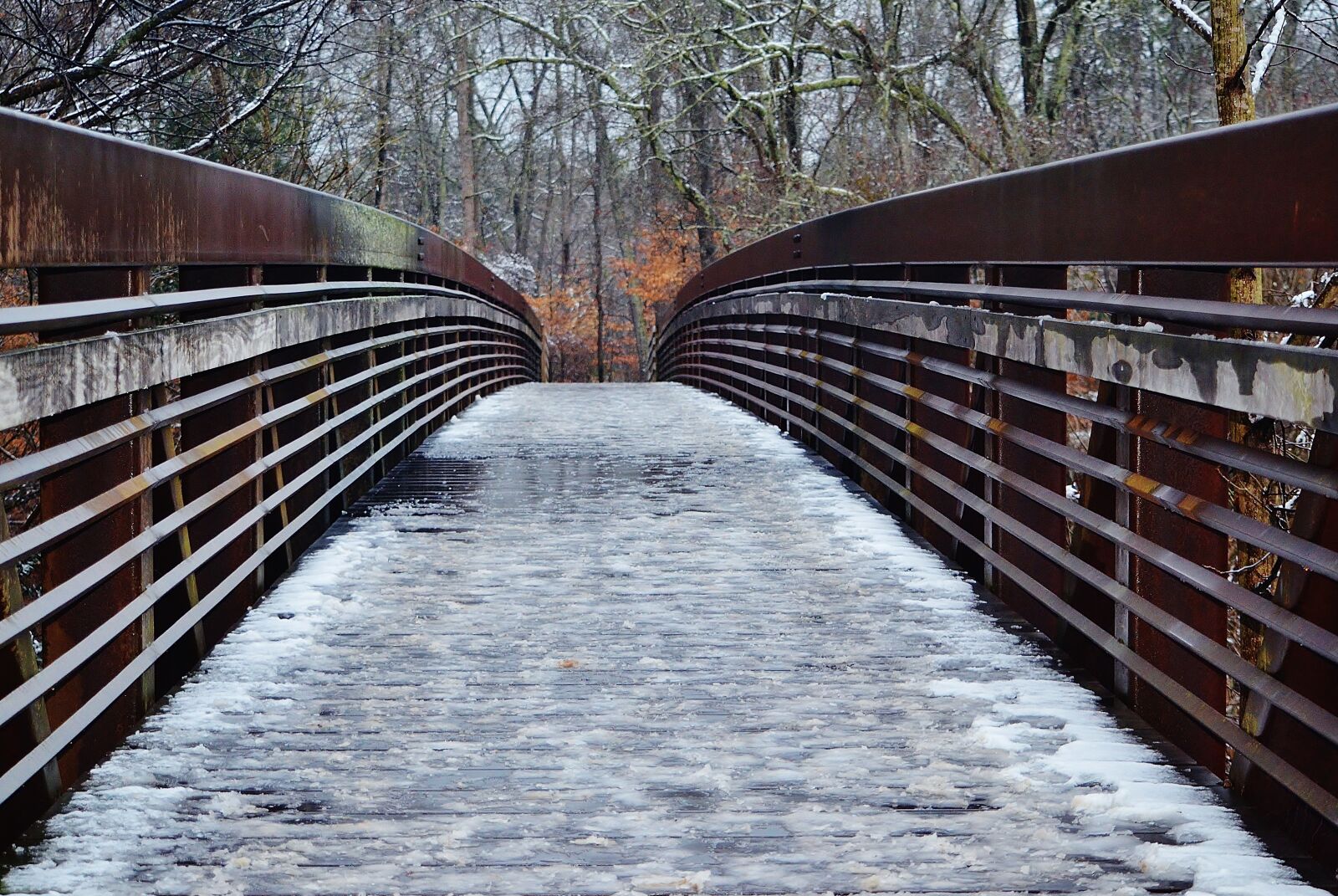 Nikon D5100 sample photo. Bridge, snow, cold photography
