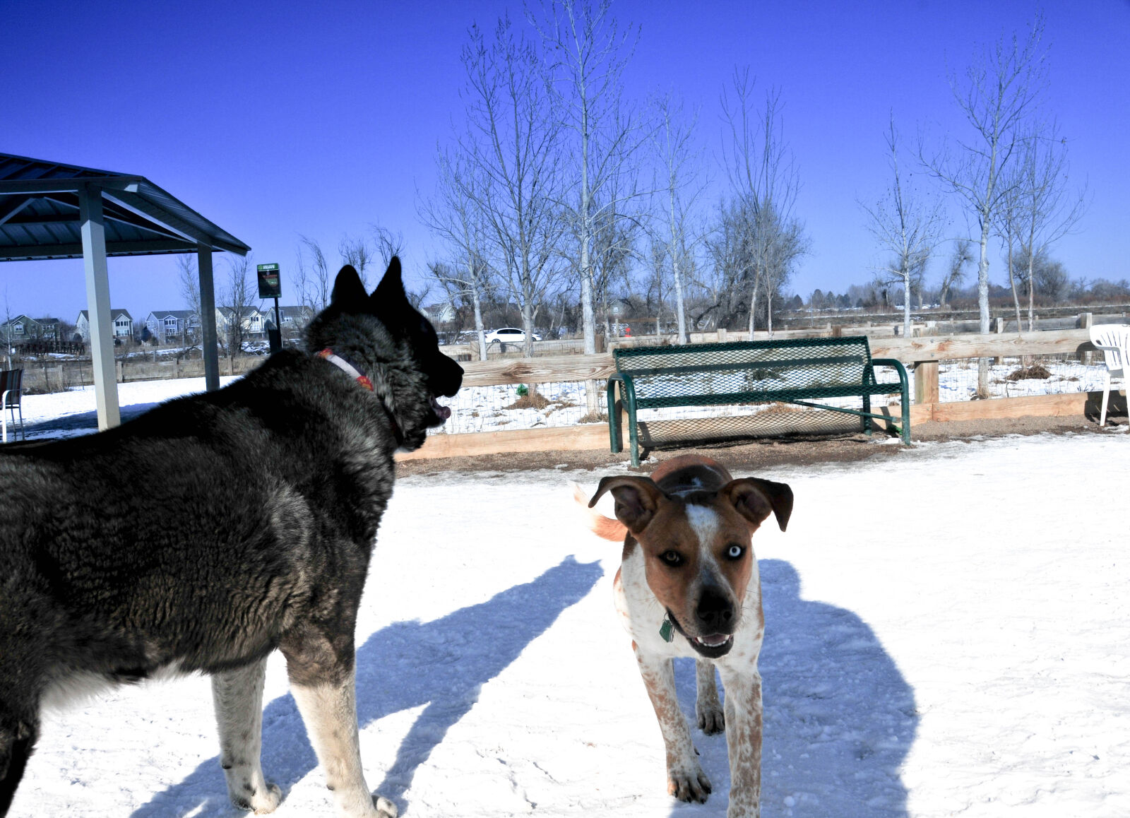 Nikon D300 sample photo