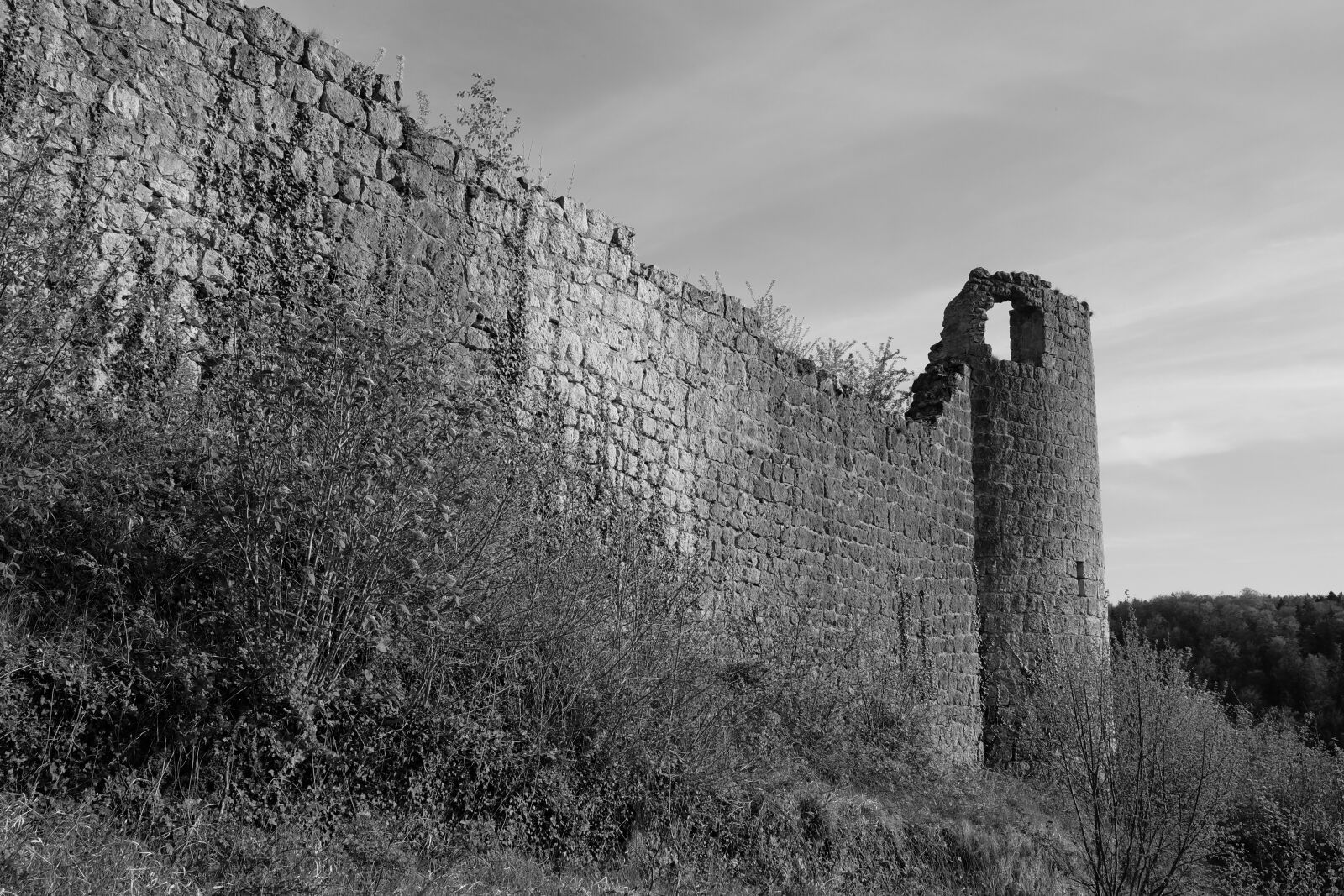 Fujifilm X-T1 sample photo. Castle, wall, architecture photography