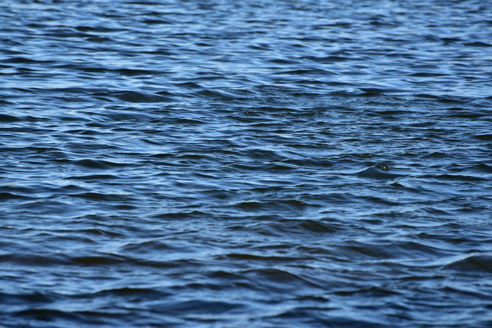 Nikon D750 sample photo. Waters, nature, water photography