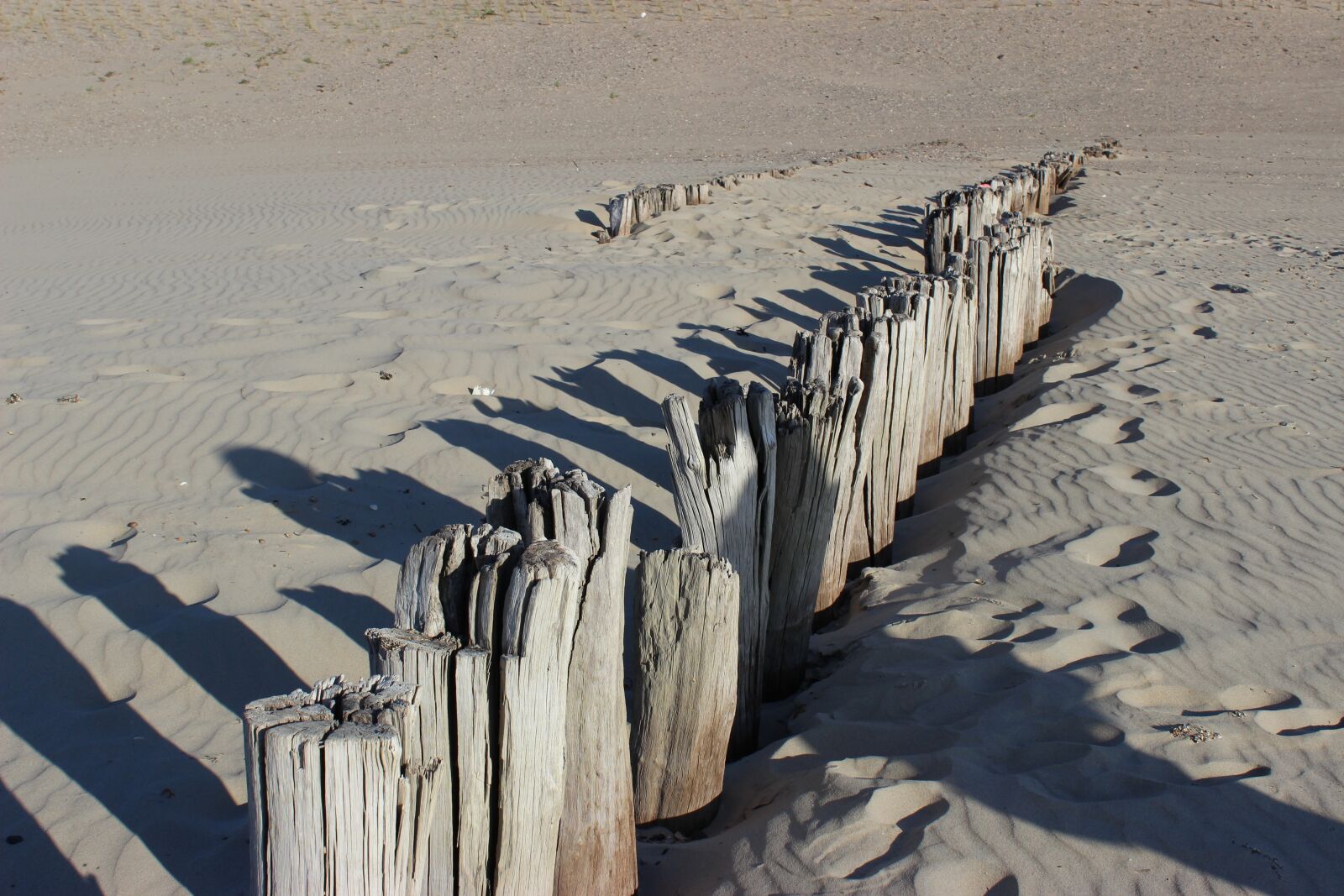 Canon EOS 600D (Rebel EOS T3i / EOS Kiss X5) sample photo. Cadzand-bad, netherlands, holland photography