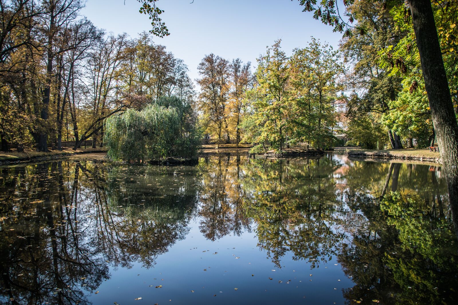 Nikon D5300 sample photo. Reflection, park, březnice photography