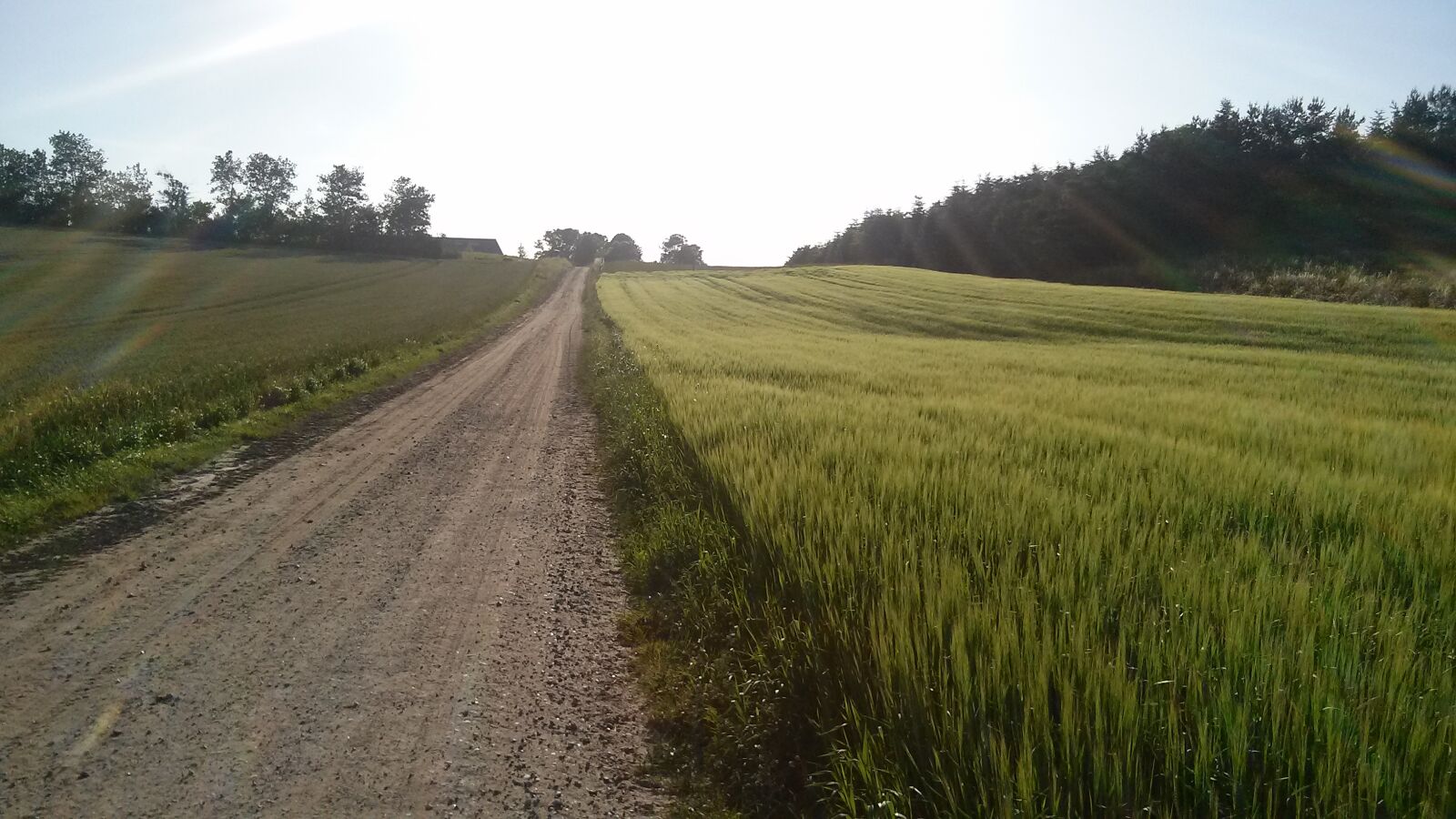 LG OPTIMUS L9 II sample photo. Nature, landscape, danmark photography
