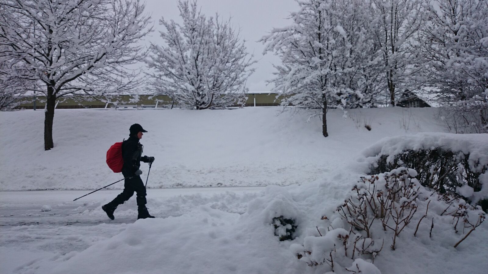 Sony Xperia Z1 Compact sample photo. Winter, snow, nordic walking photography
