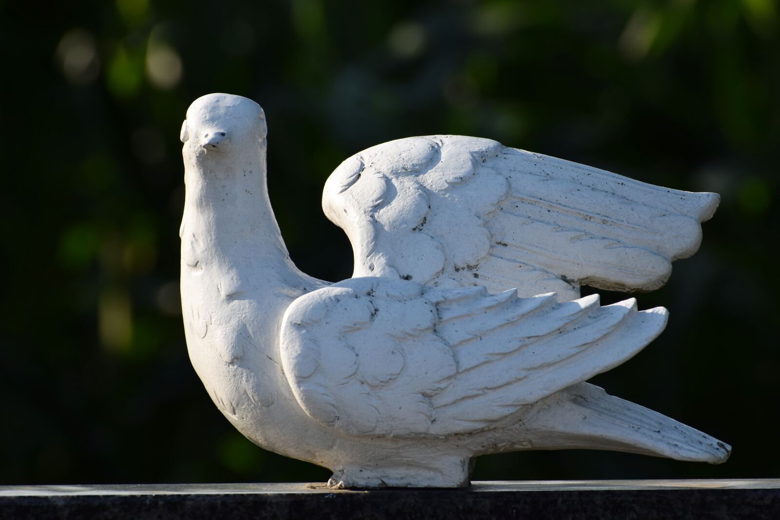 Nikon D3300 sample photo. White dove, monument, gravestone photography