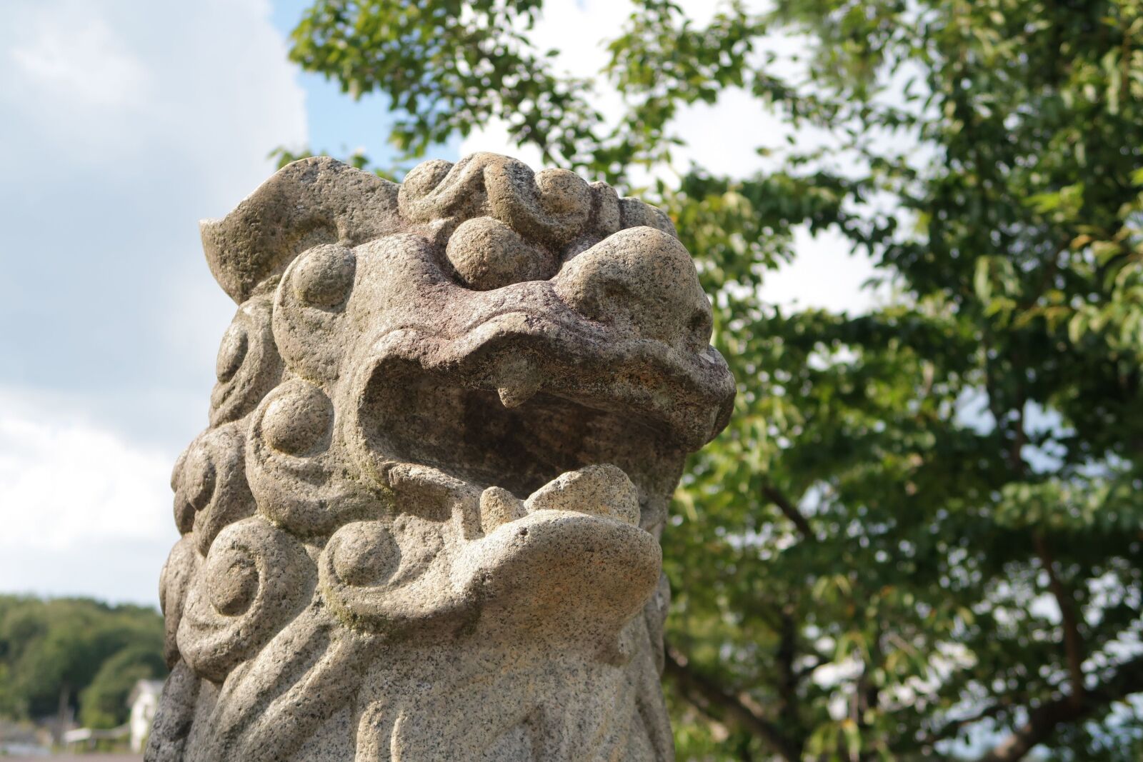 Canon PowerShot G7 X Mark II sample photo. Guardian dogs, stone statues photography