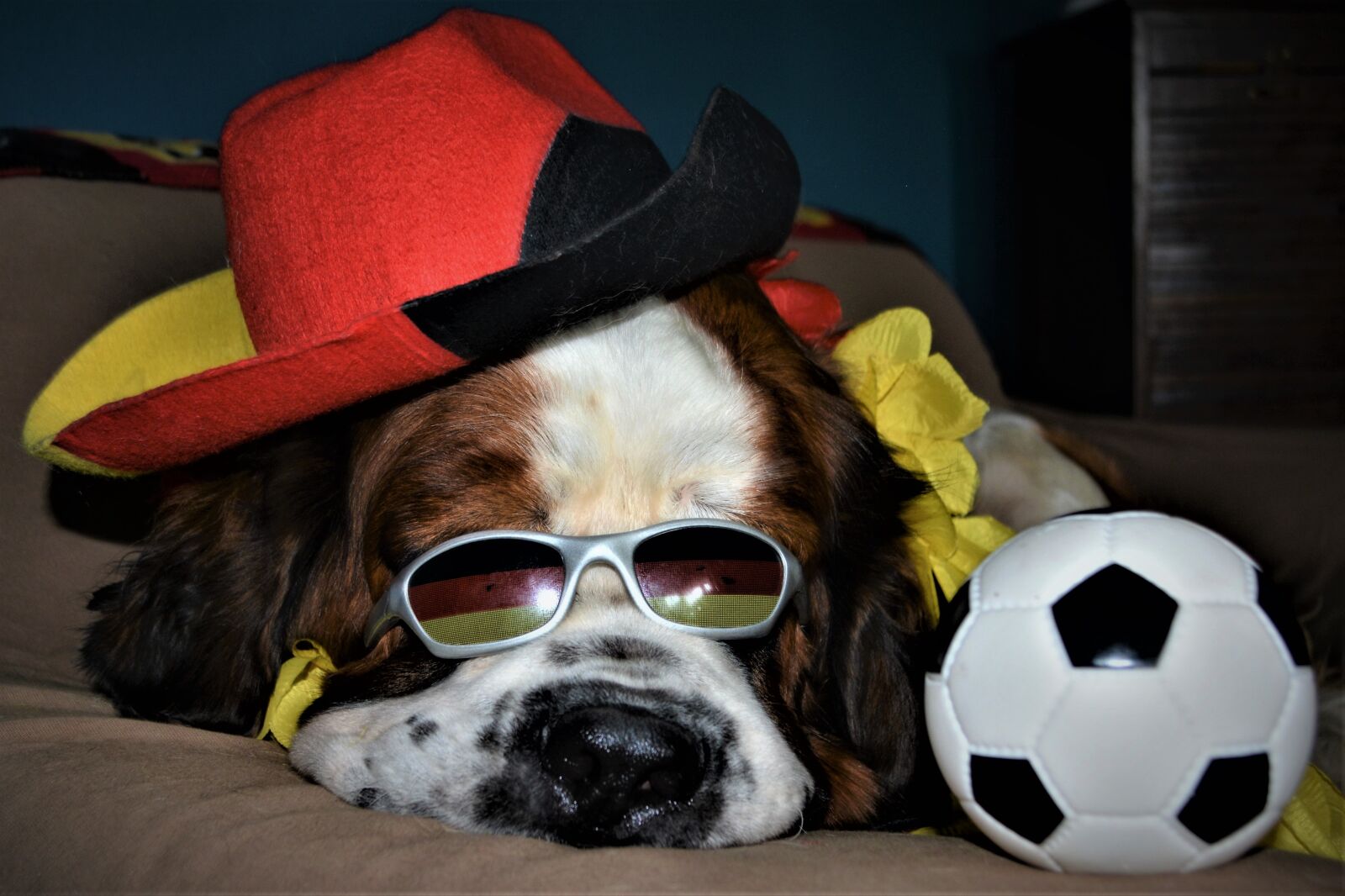 Nikon D5200 sample photo. World cup, world cup photography