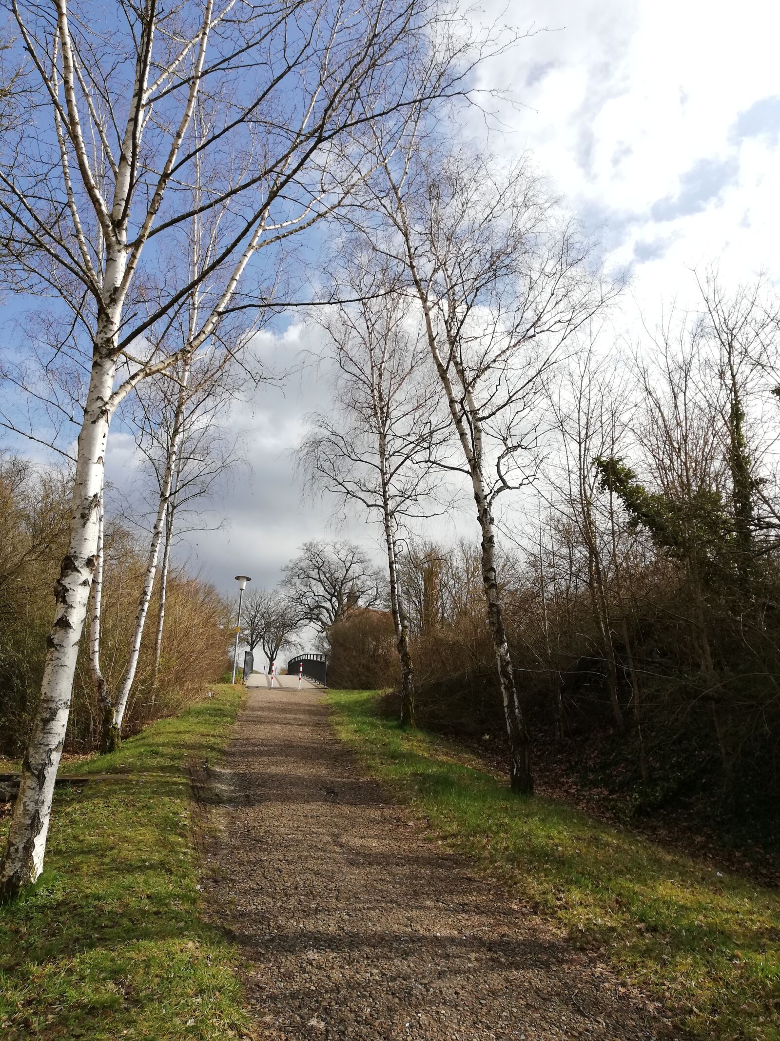 HUAWEI Mate 10 Lite sample photo. Landscape, spring, road photography