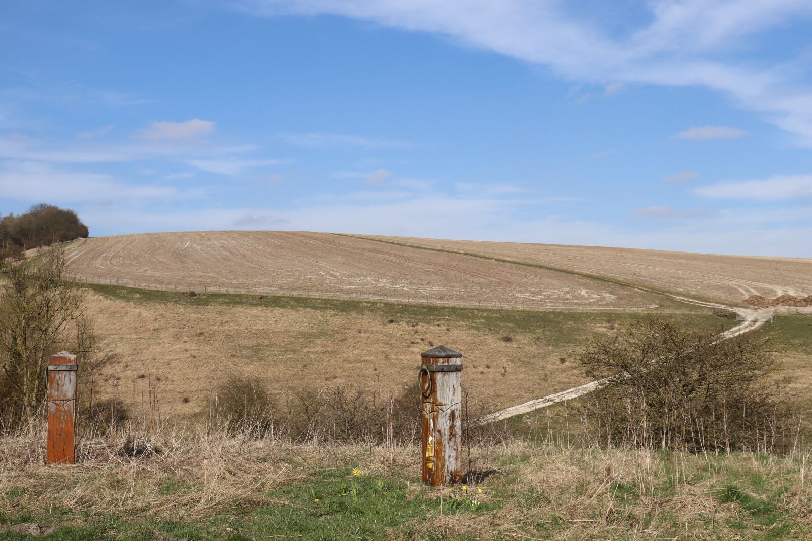Canon EOS 800D (EOS Rebel T7i / EOS Kiss X9i) sample photo. Yorkshire, field, blue sky photography