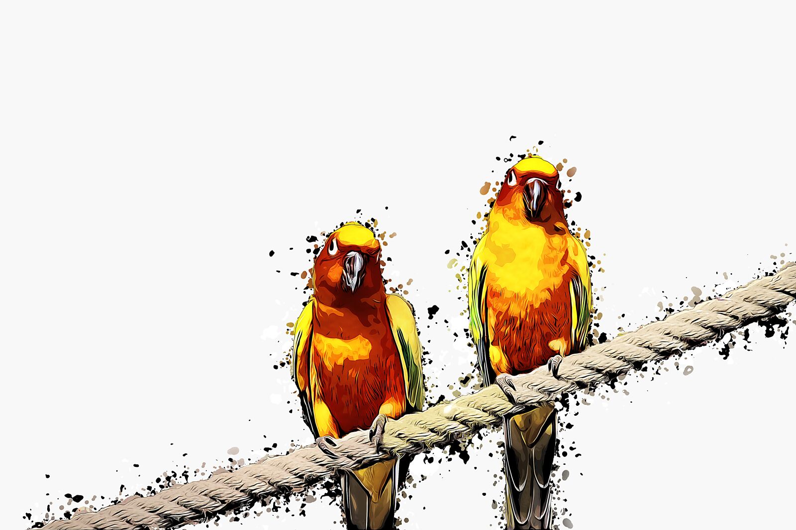 Canon EOS 700D (EOS Rebel T5i / EOS Kiss X7i) sample photo. Parrot, animal, bird photography