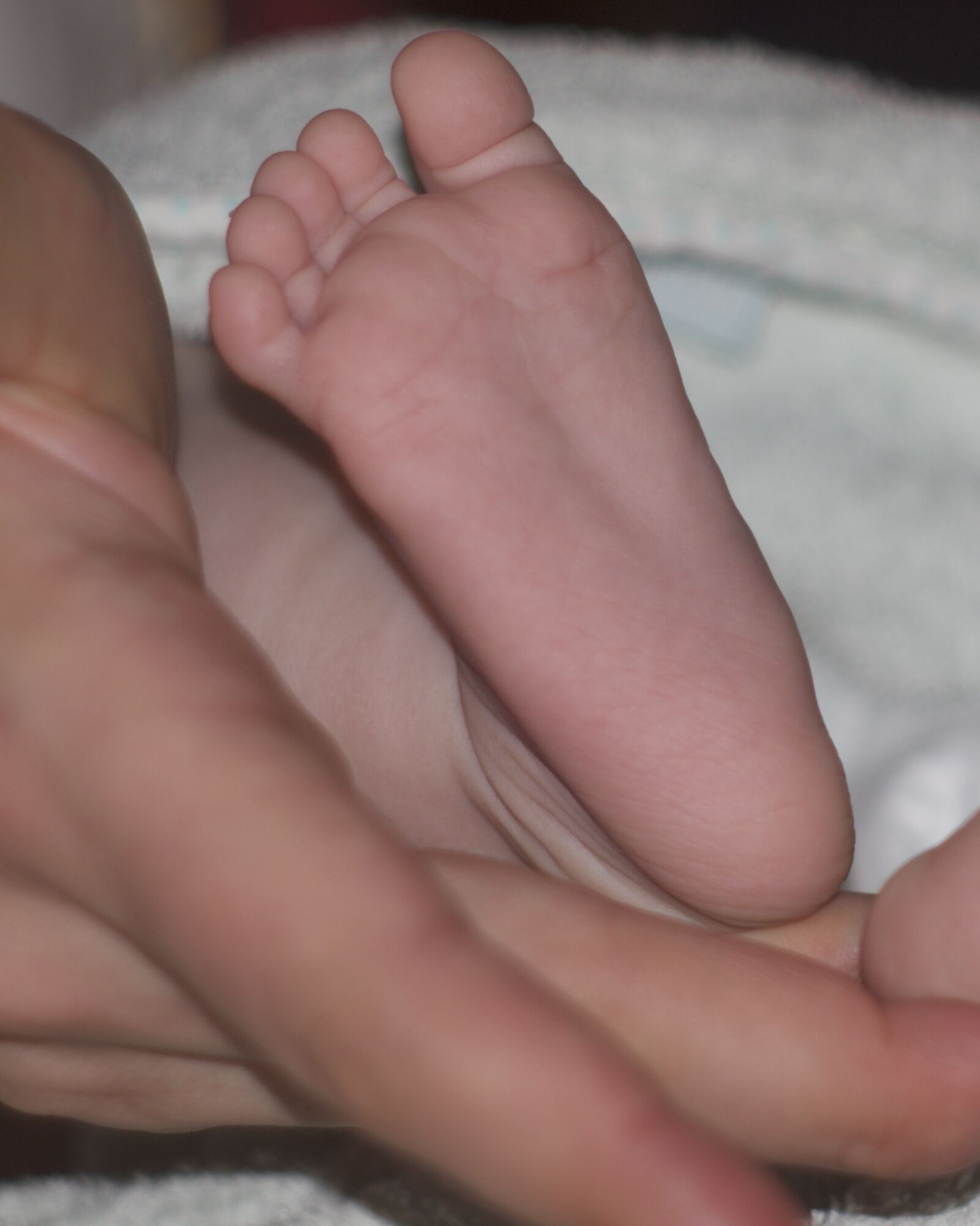 Olympus E-520 (EVOLT E-520) sample photo. Baby foot, motherhood, hand photography