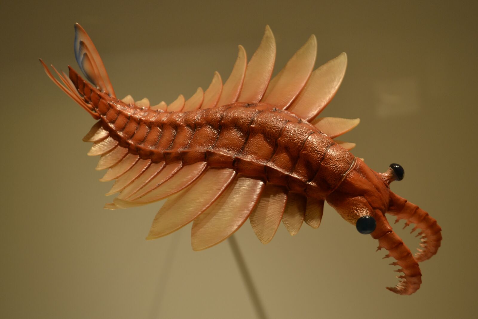 Nikon D3100 sample photo. Prehistoric, creature, ancient photography
