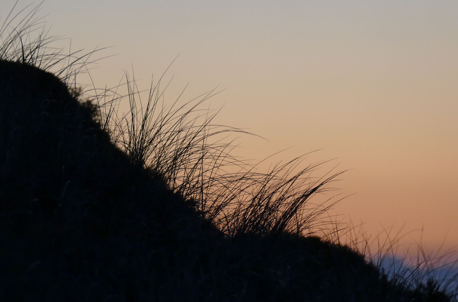 Panasonic Lumix DMC-FZ1000 sample photo. Dune, sea, marram grass photography