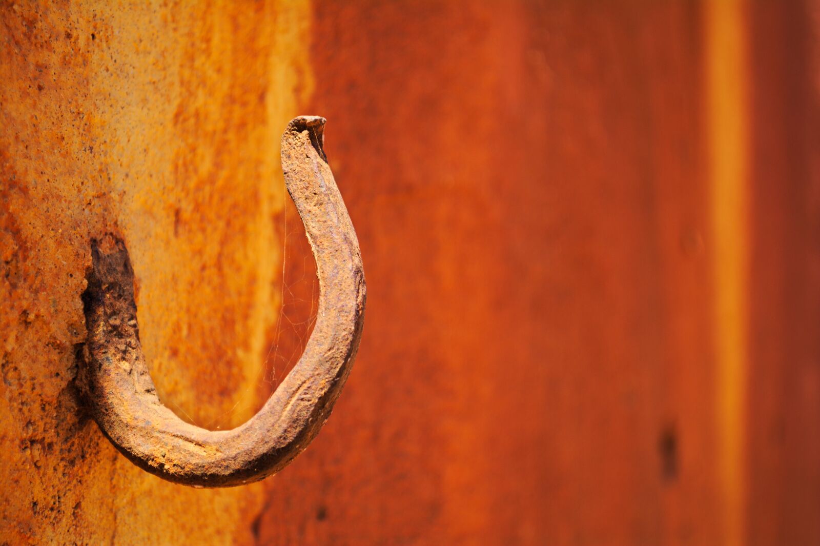 Nikon D5200 sample photo. Hook, wall, old photography