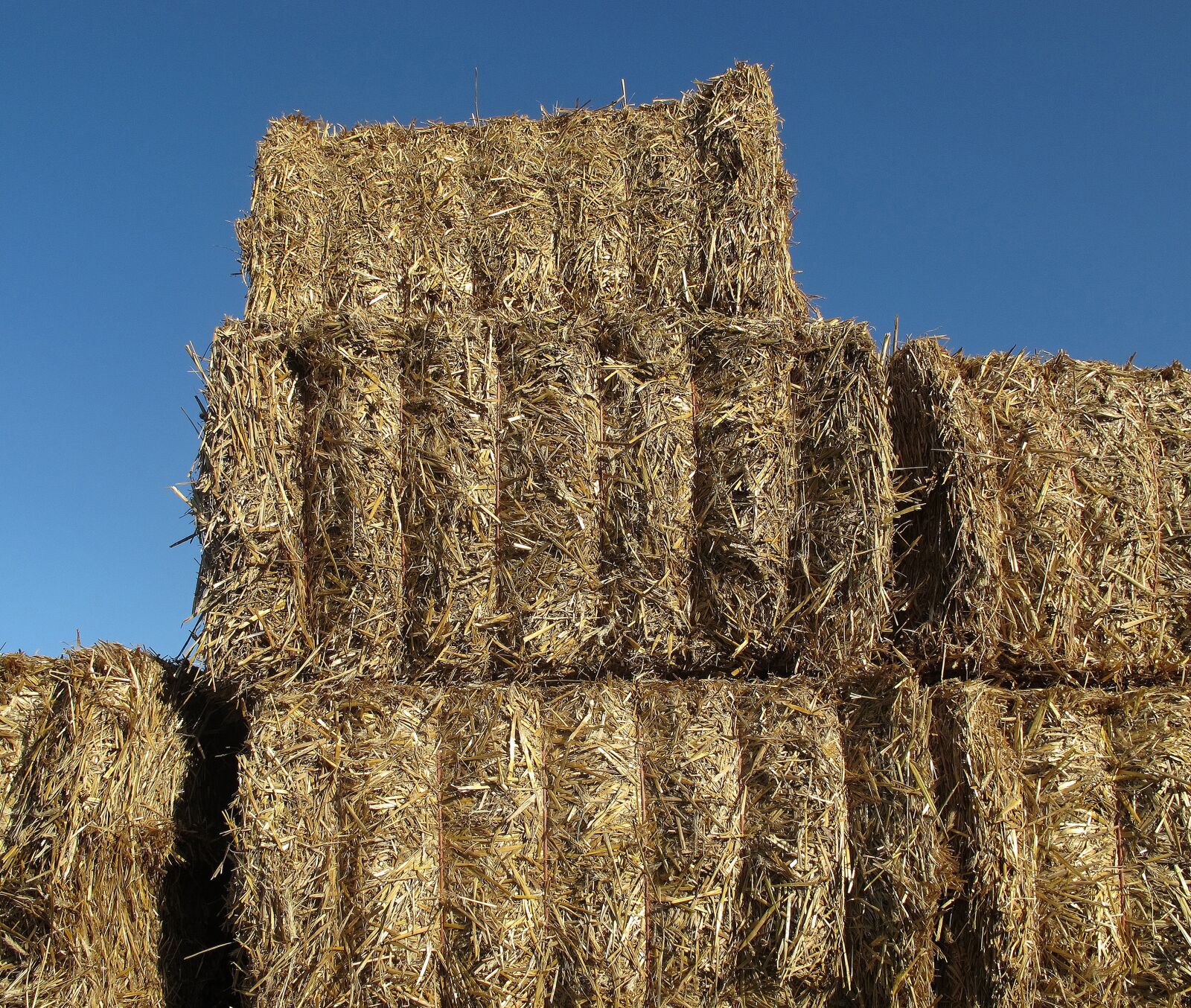 Canon PowerShot G12 sample photo. Straw, straw bales, bale photography
