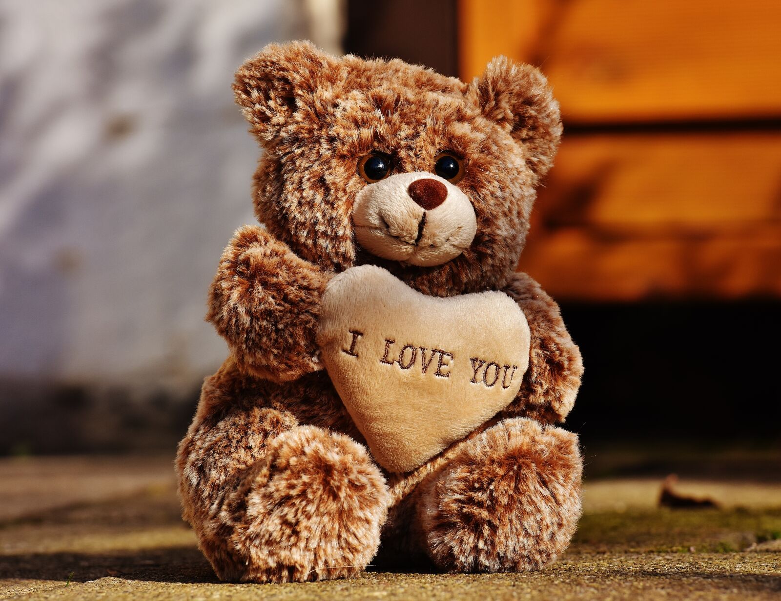 Nikon D7200 sample photo. Teddy, love, teddy bear photography