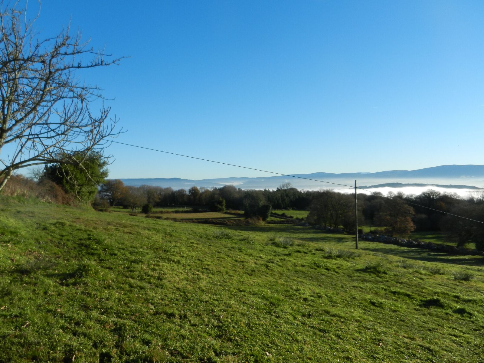 Nikon Coolpix S9100 sample photo. Prado, fog, landscape photography