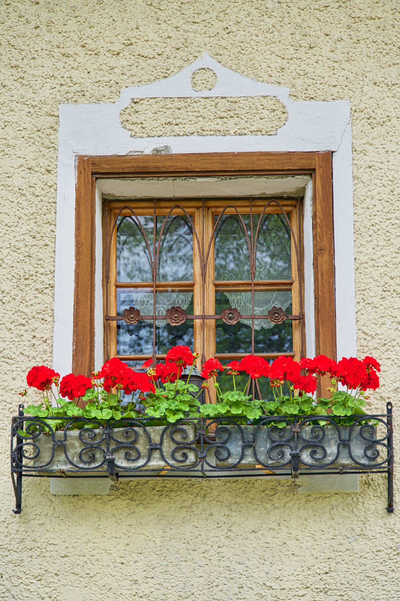 Sony a6500 sample photo. Window, flowers, red photography