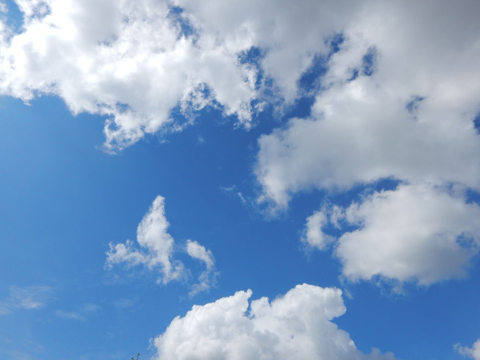 Nikon Coolpix L830 sample photo. Clouds, blue sky, summer photography