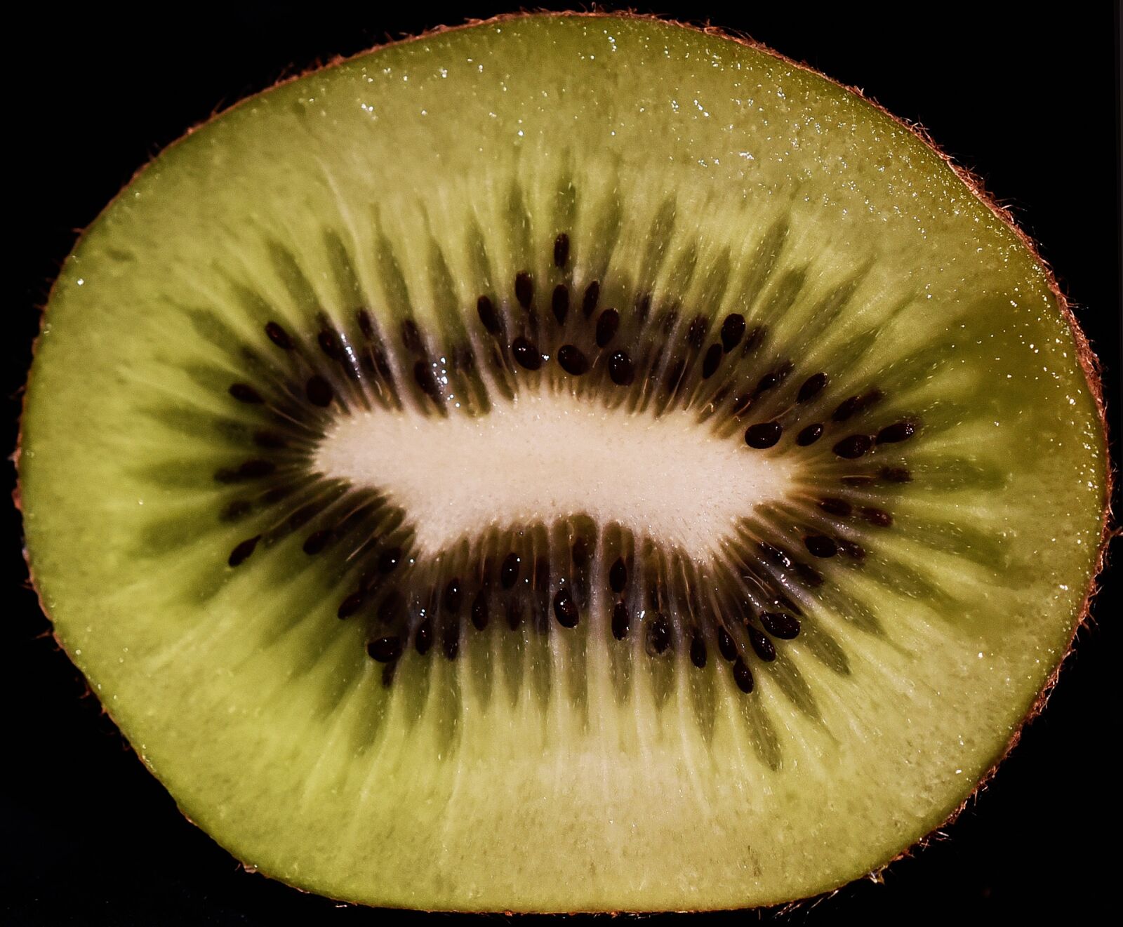 Nikon D750 sample photo. Kiwi, fruit, fetus photography