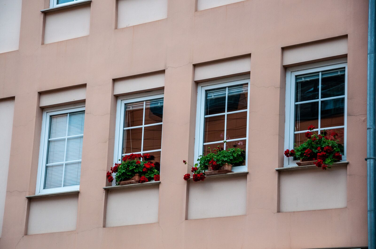 Nikon D90 sample photo. Windows, building, window photography