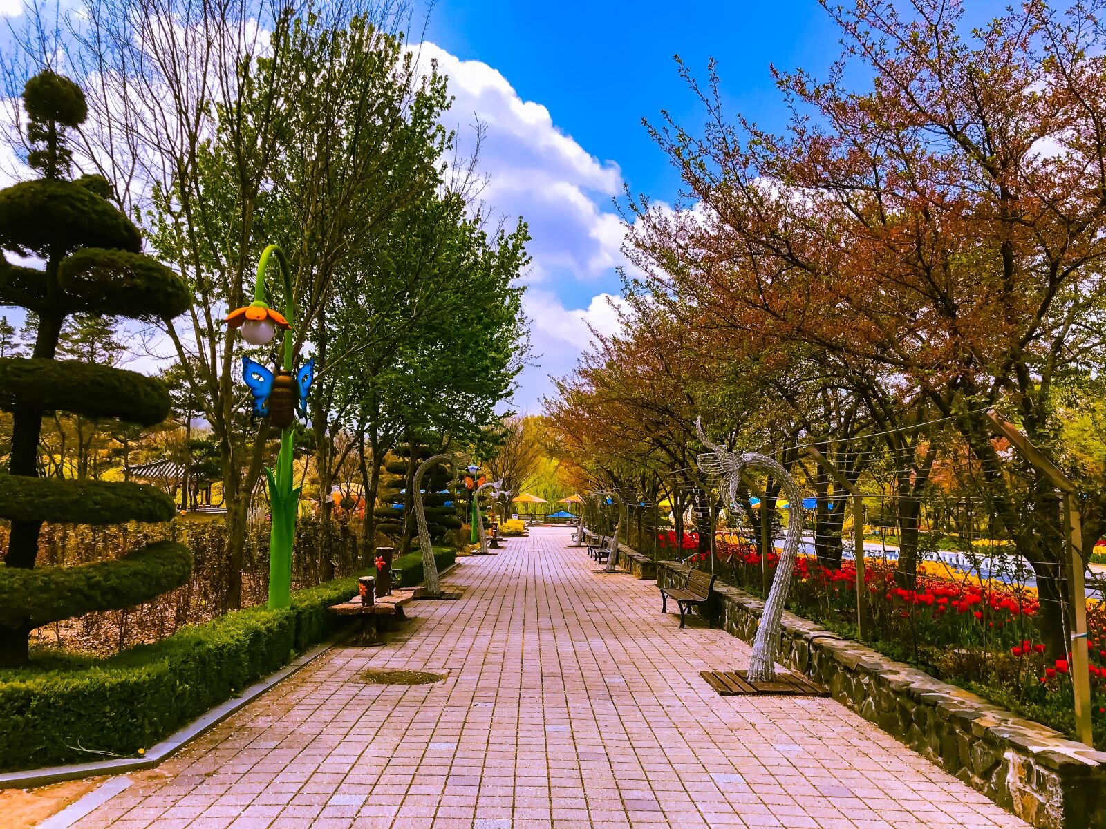 iPhone 7 Plus back dual camera 3.99mm f/1.8 sample photo. Park, trees, street photography
