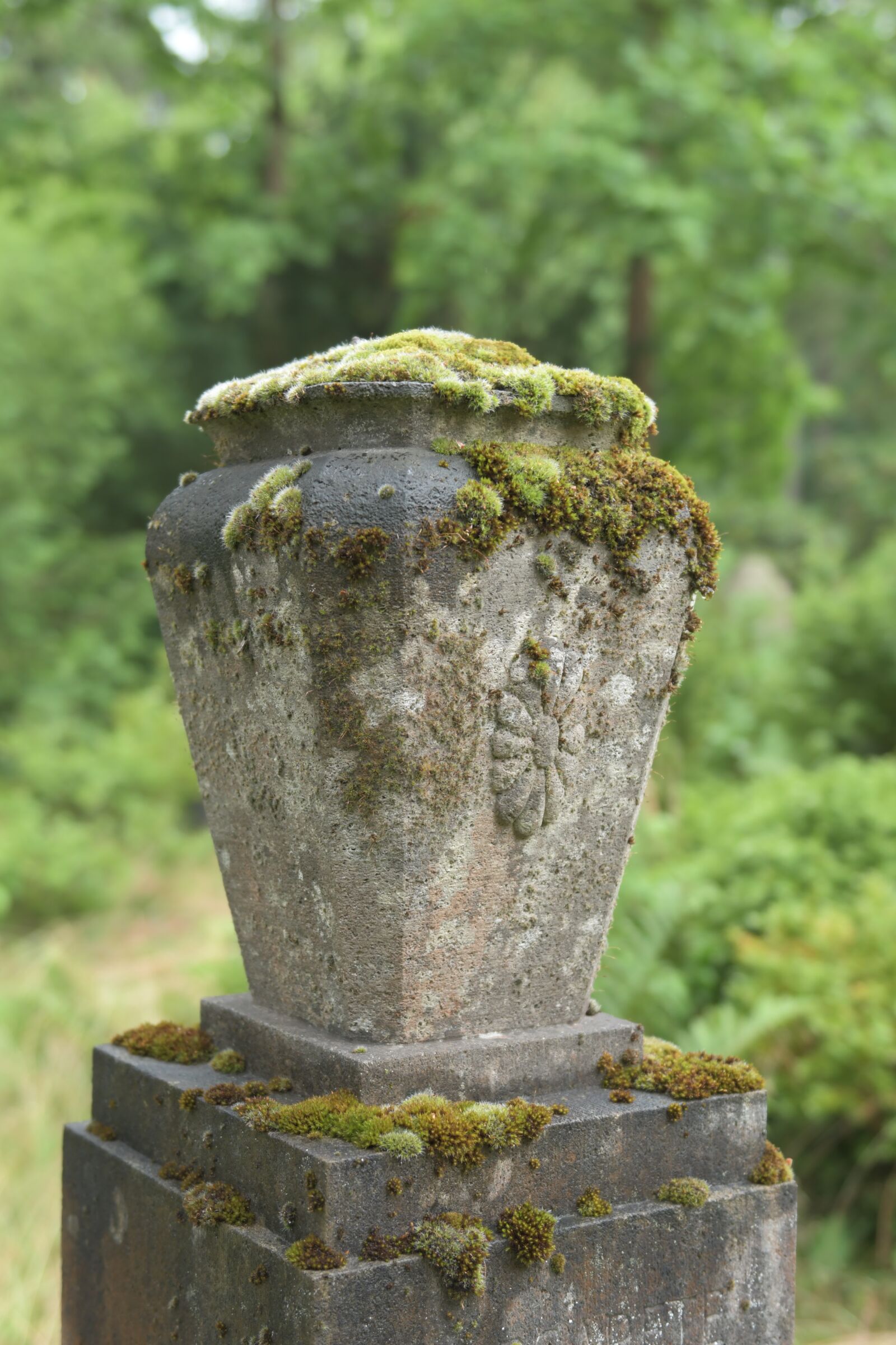 Nikon D500 sample photo. Cemetery, stone, tomb photography
