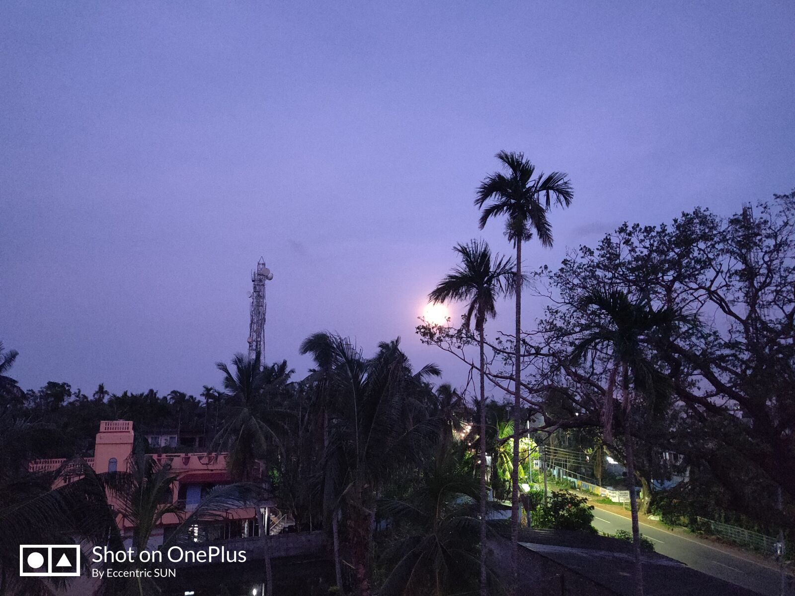 OnePlus A6000 sample photo. Moon, mahishadal, jungle photography