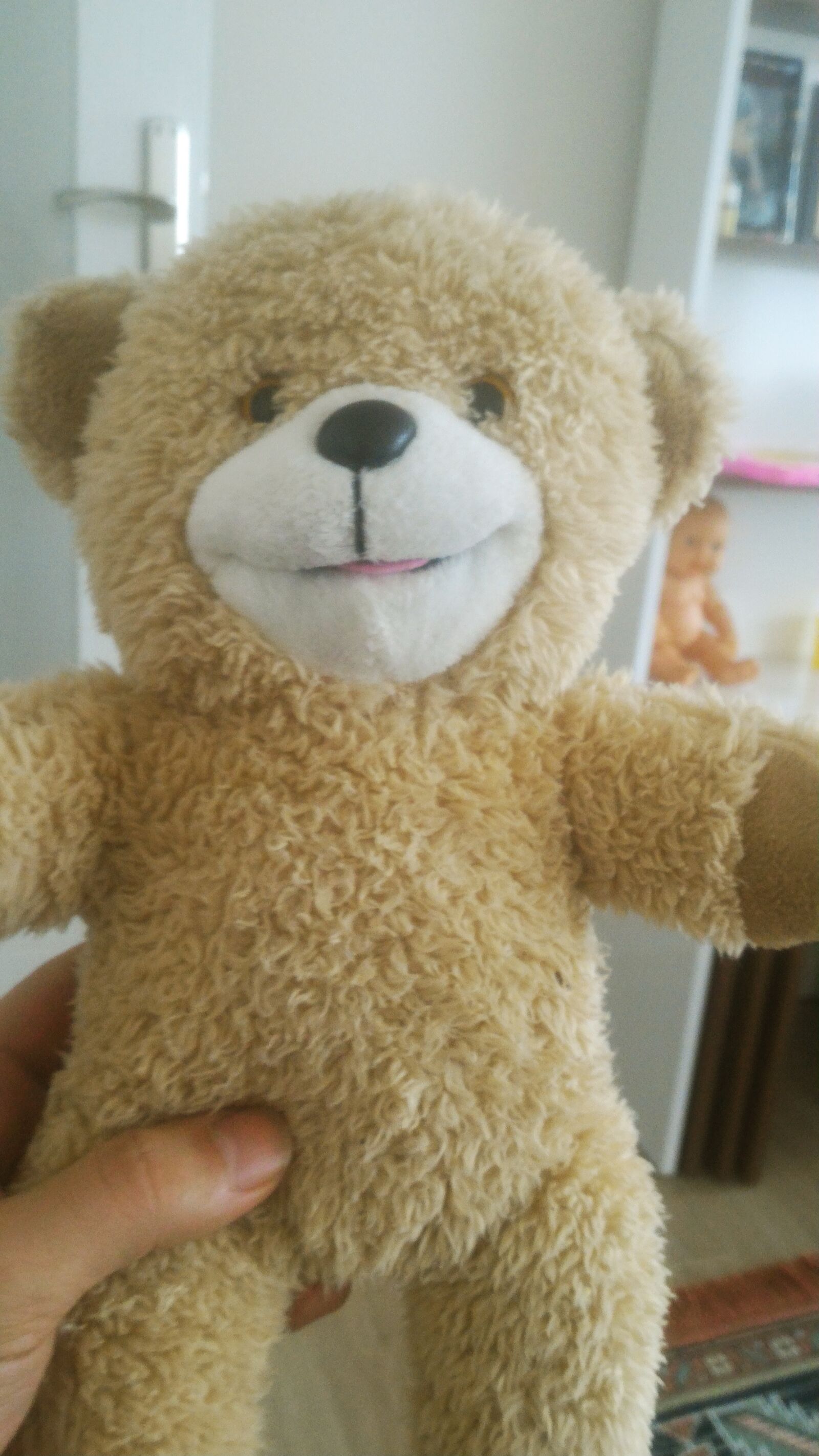 ASUS Z00AD sample photo. Teddy bear, toy, plush photography