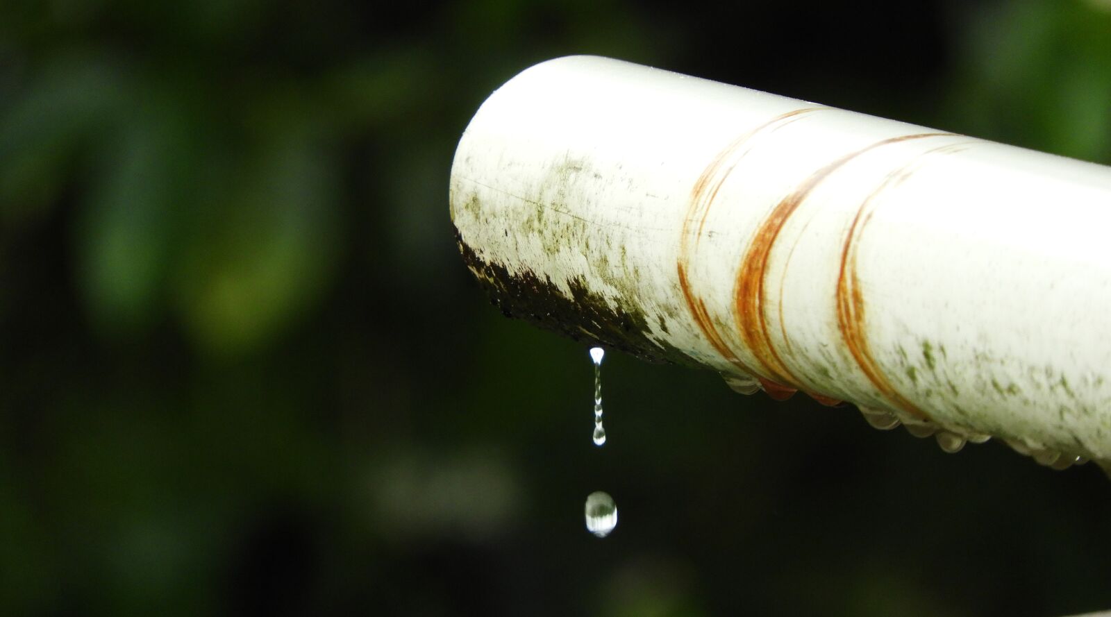Nikon Coolpix B700 sample photo. Outdoors, leak, rain photography