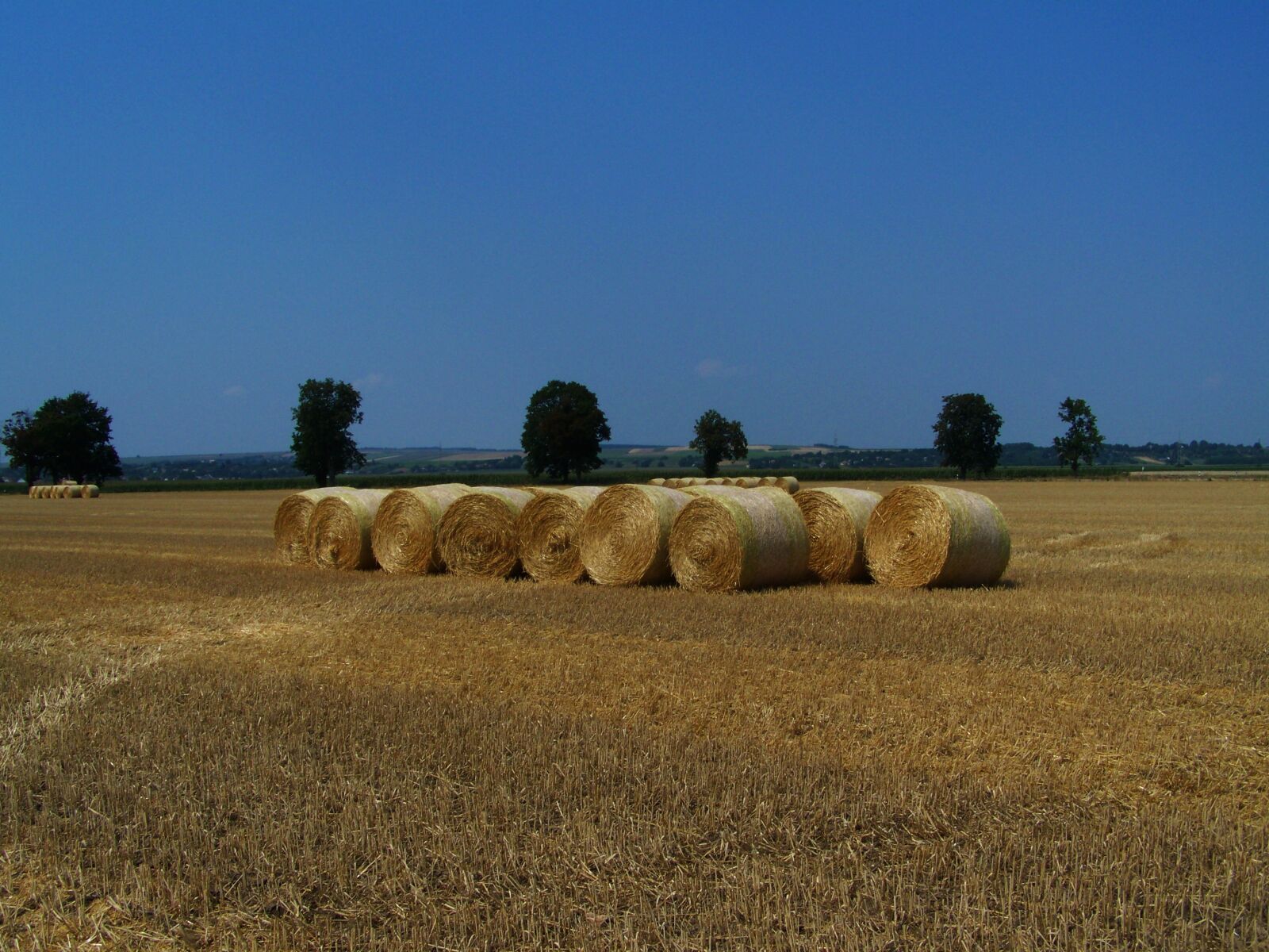 Kodak EASYSHARE ZD710 ZOOM DIGITAL CAMERA sample photo. Straw bales, harvested wheat photography