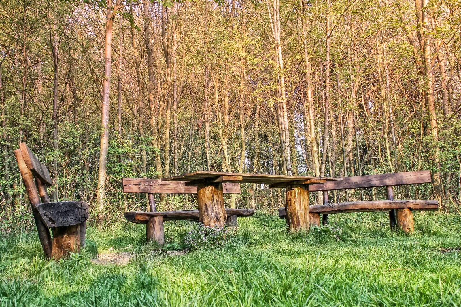 Canon EOS 60D sample photo. Wood, nature, grass photography