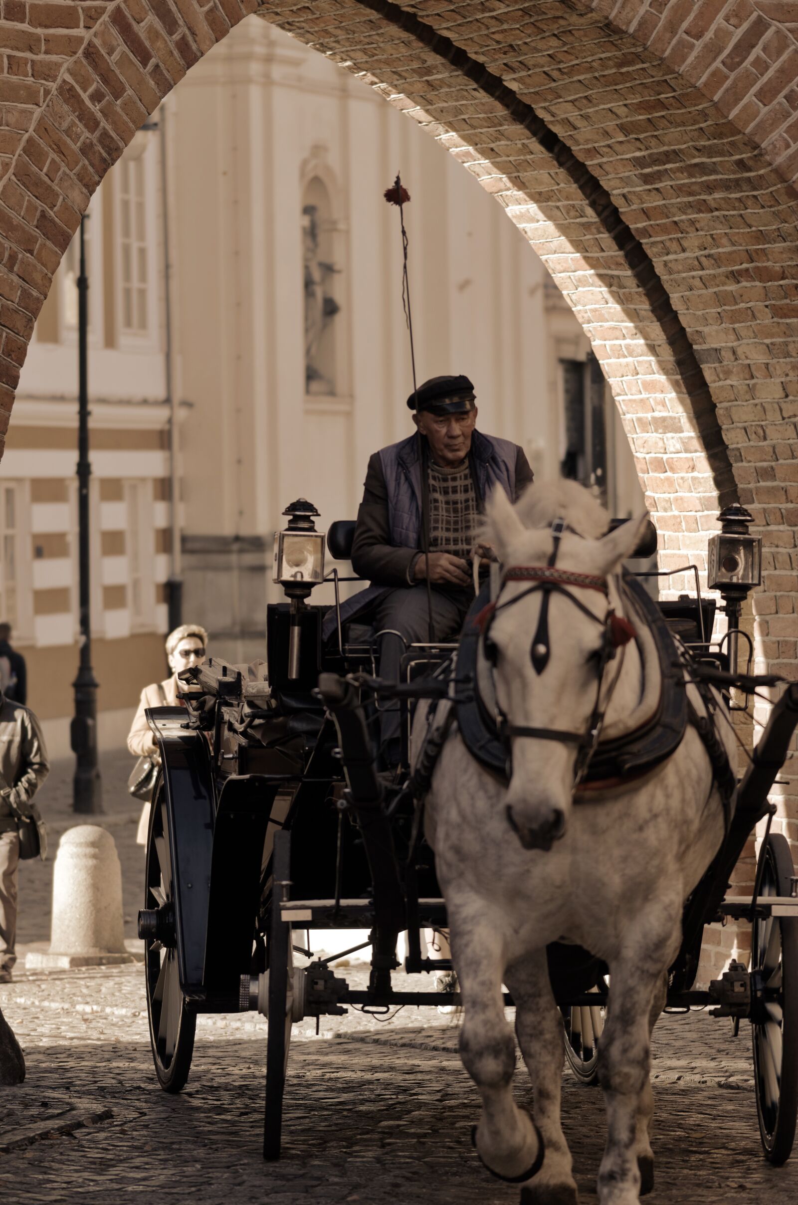 Nikon D5100 sample photo. Coach, horse, the driver photography