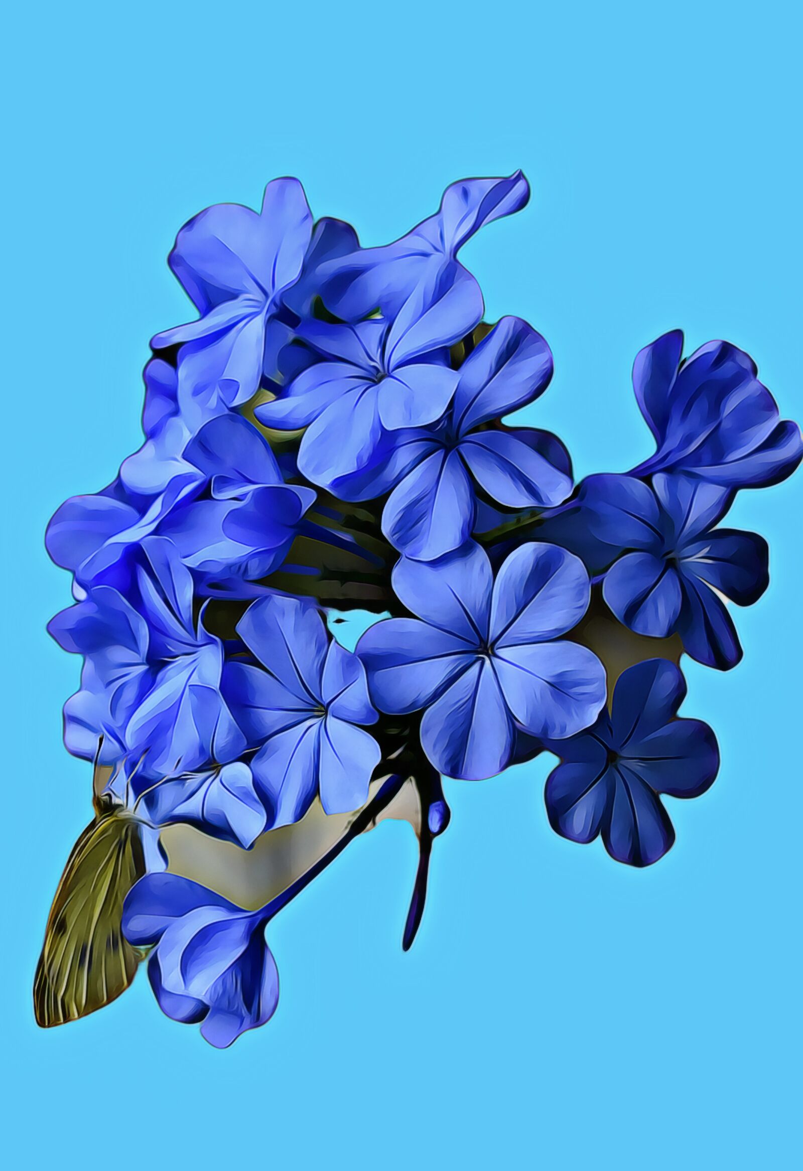 Nikon D5600 sample photo. Flower, nature, background photography