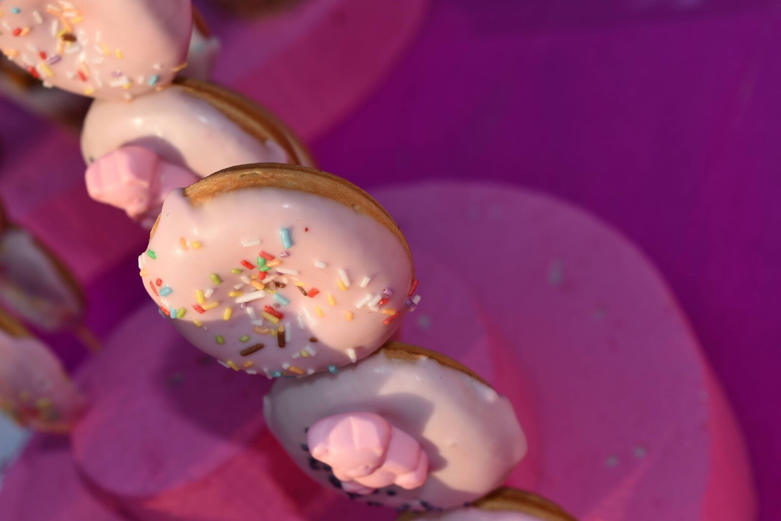 Nikon D5500 sample photo. Cookies, container, food, blur photography