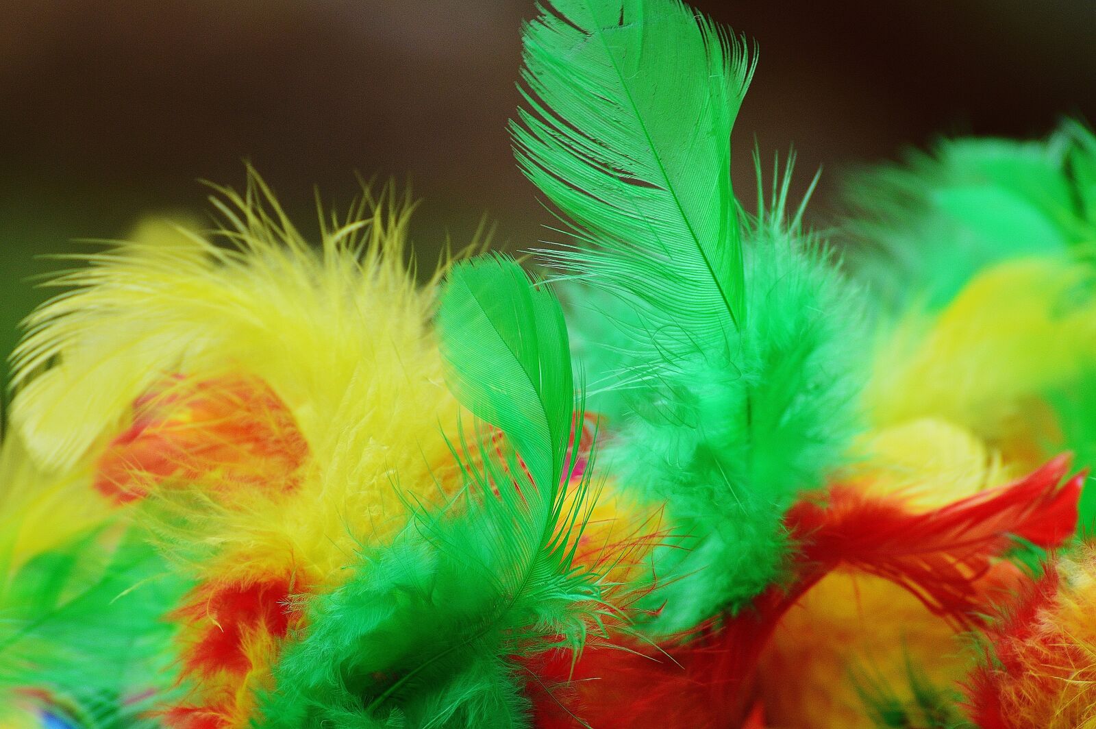 Nikon D3200 sample photo. Foam balls, feather, colorful photography