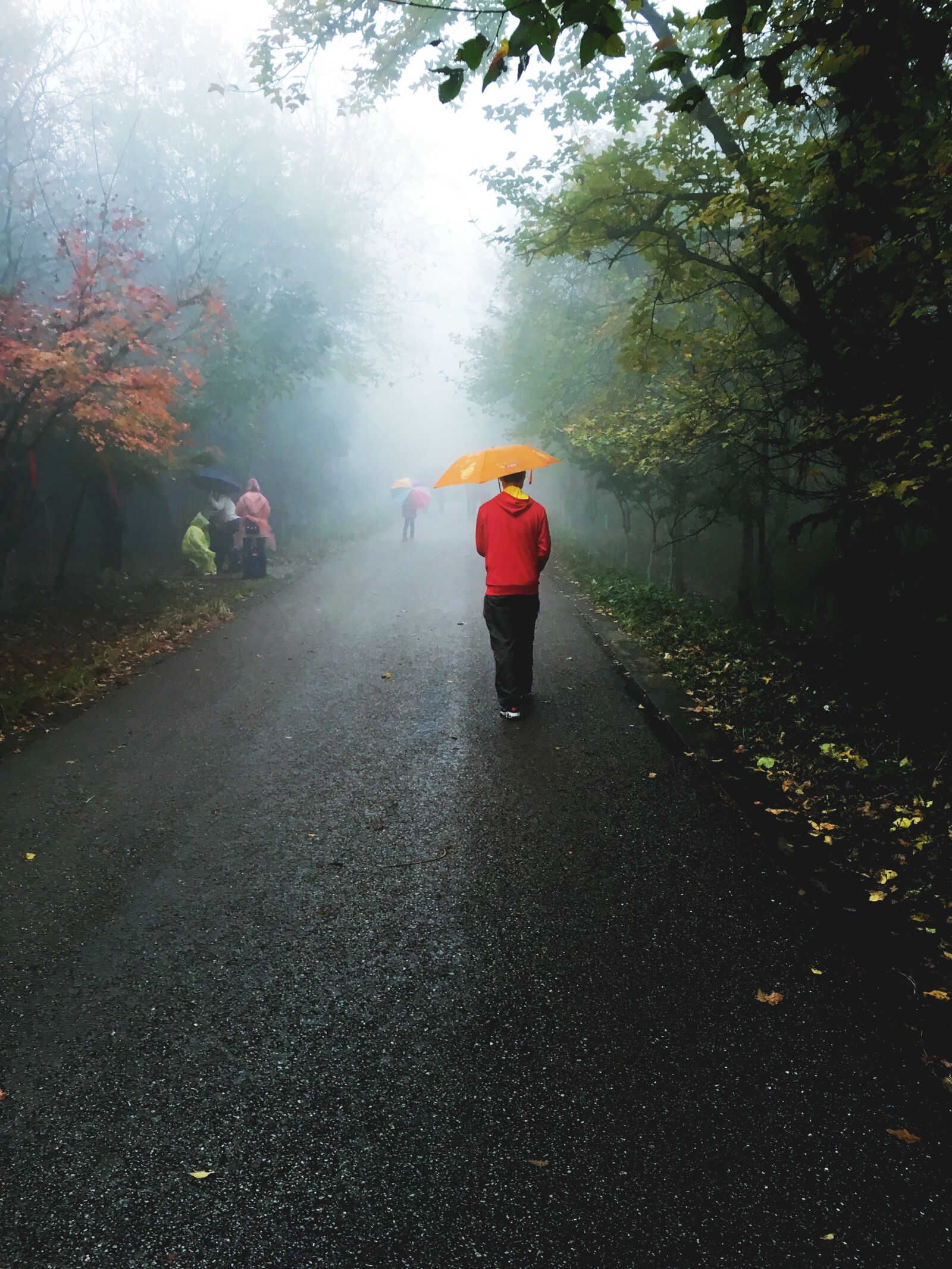 Apple iPhone 6s sample photo. Man, rain, road, trail photography