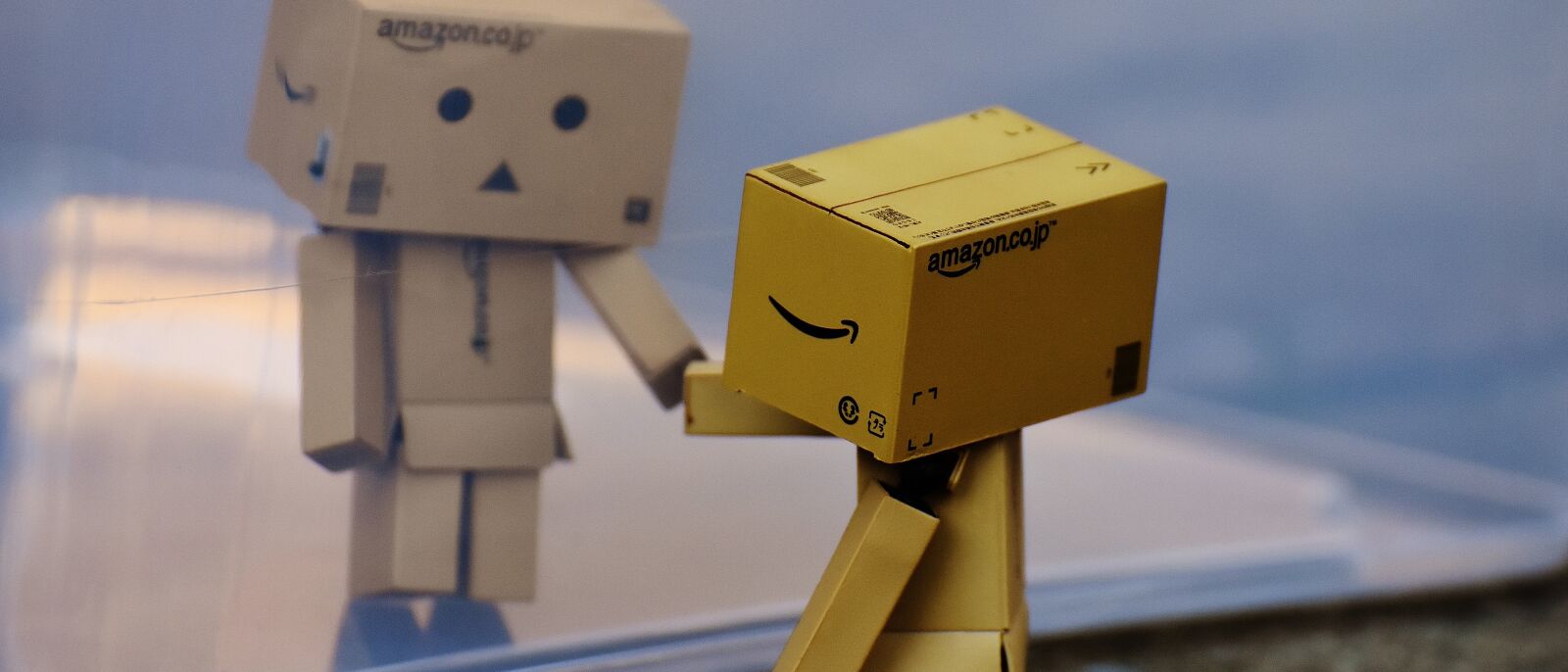 Nikon D7200 sample photo. Danbo, figure, separated photography