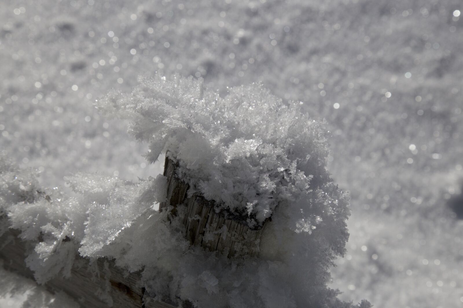 Canon EOS 6D + Canon EF 24-105mm F4L IS USM sample photo. Winter, sparkle, crystals photography