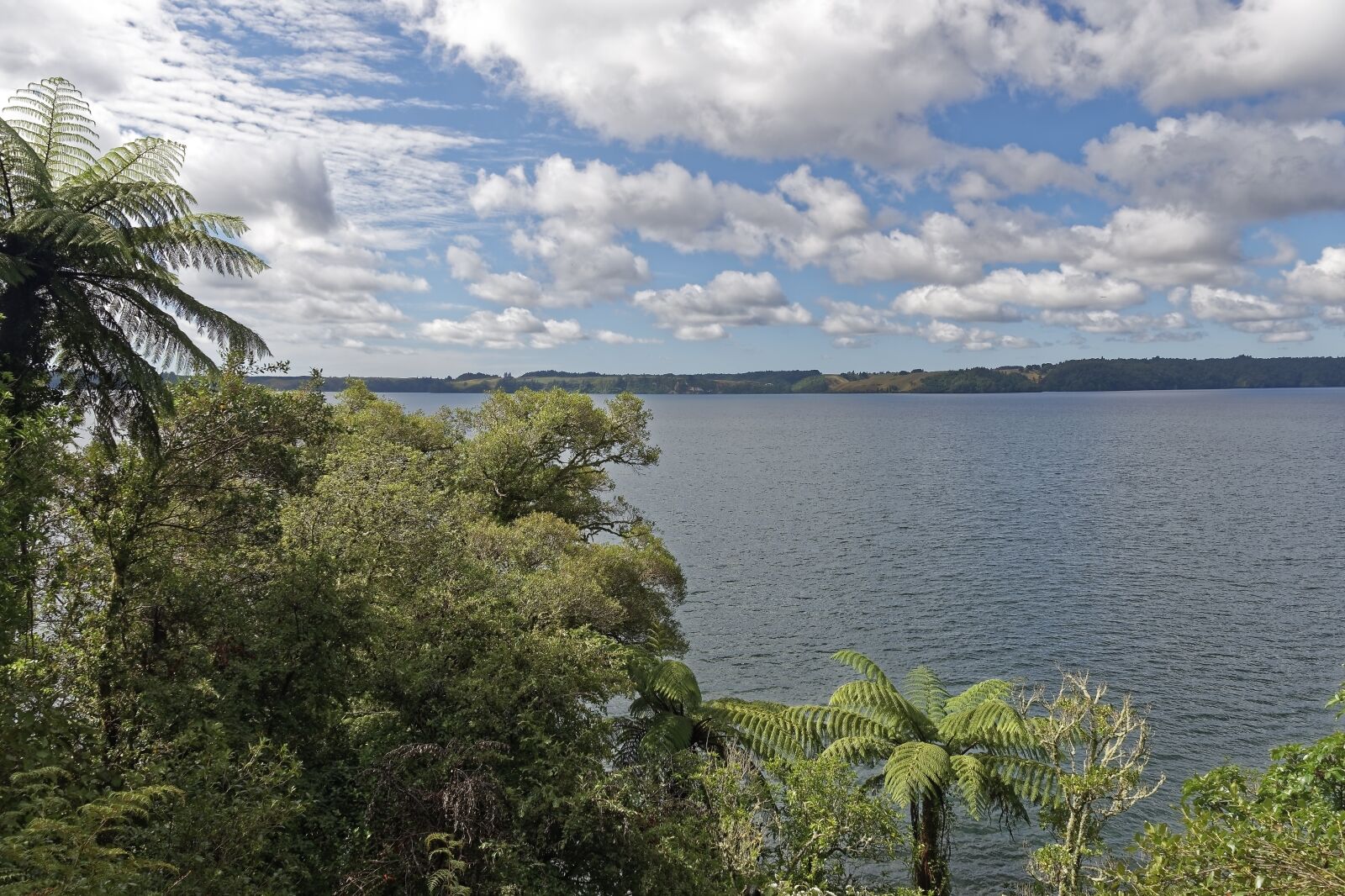 Nikon D500 sample photo. New zealand, lake rotoiti photography