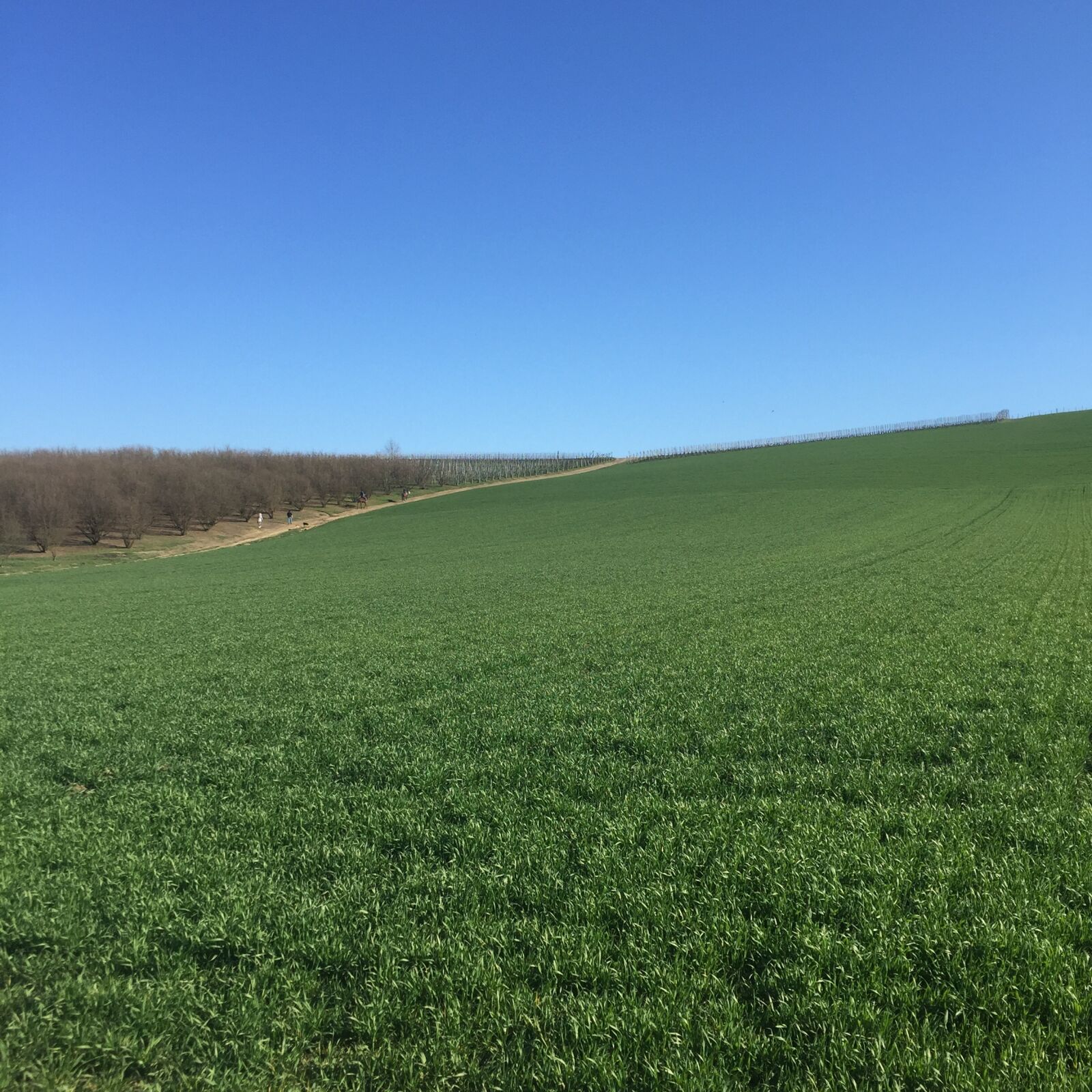 Apple iPhone 6 sample photo. Landscape, spring, hill photography