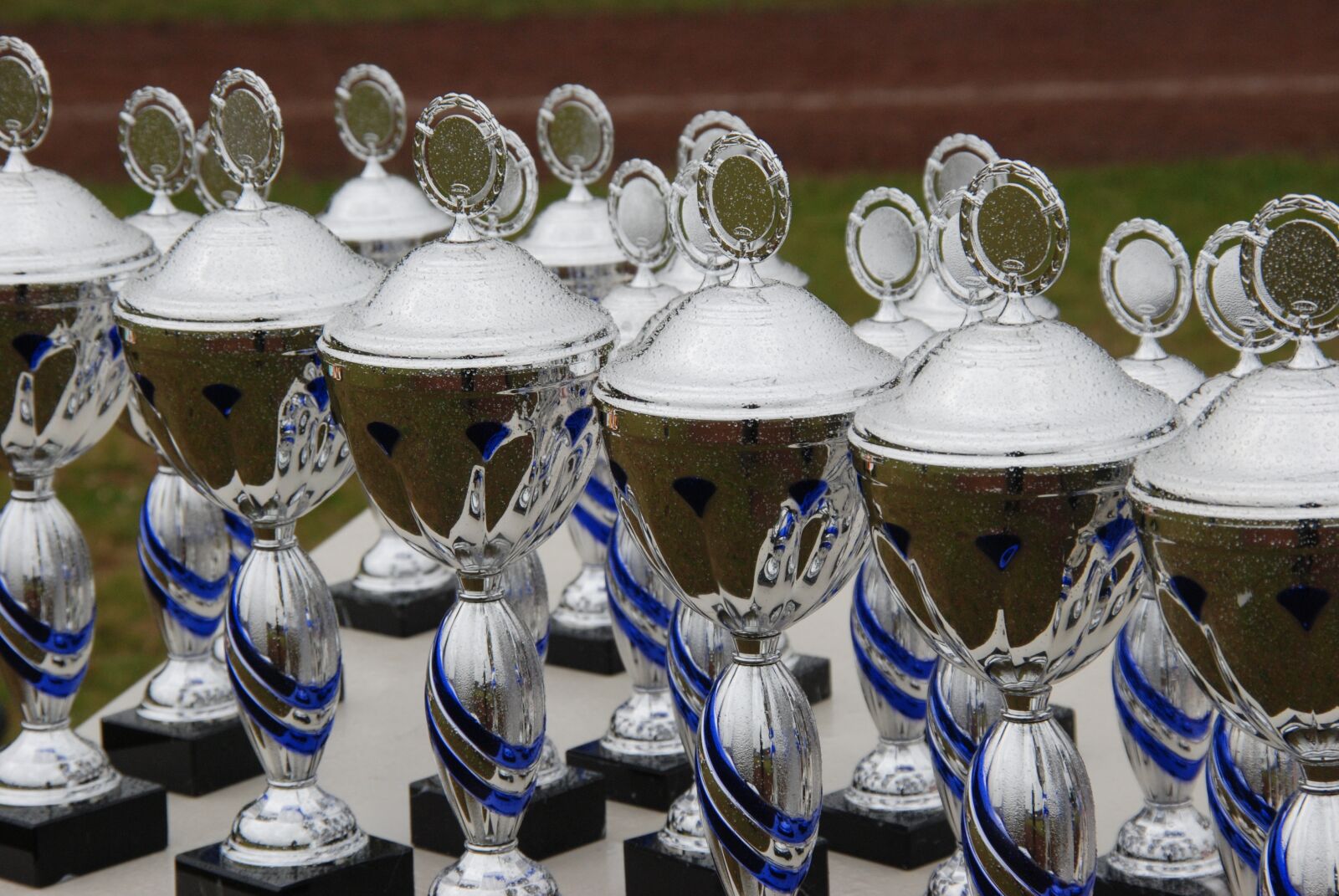 Nikon D80 sample photo. Sports, cup, trophy photography