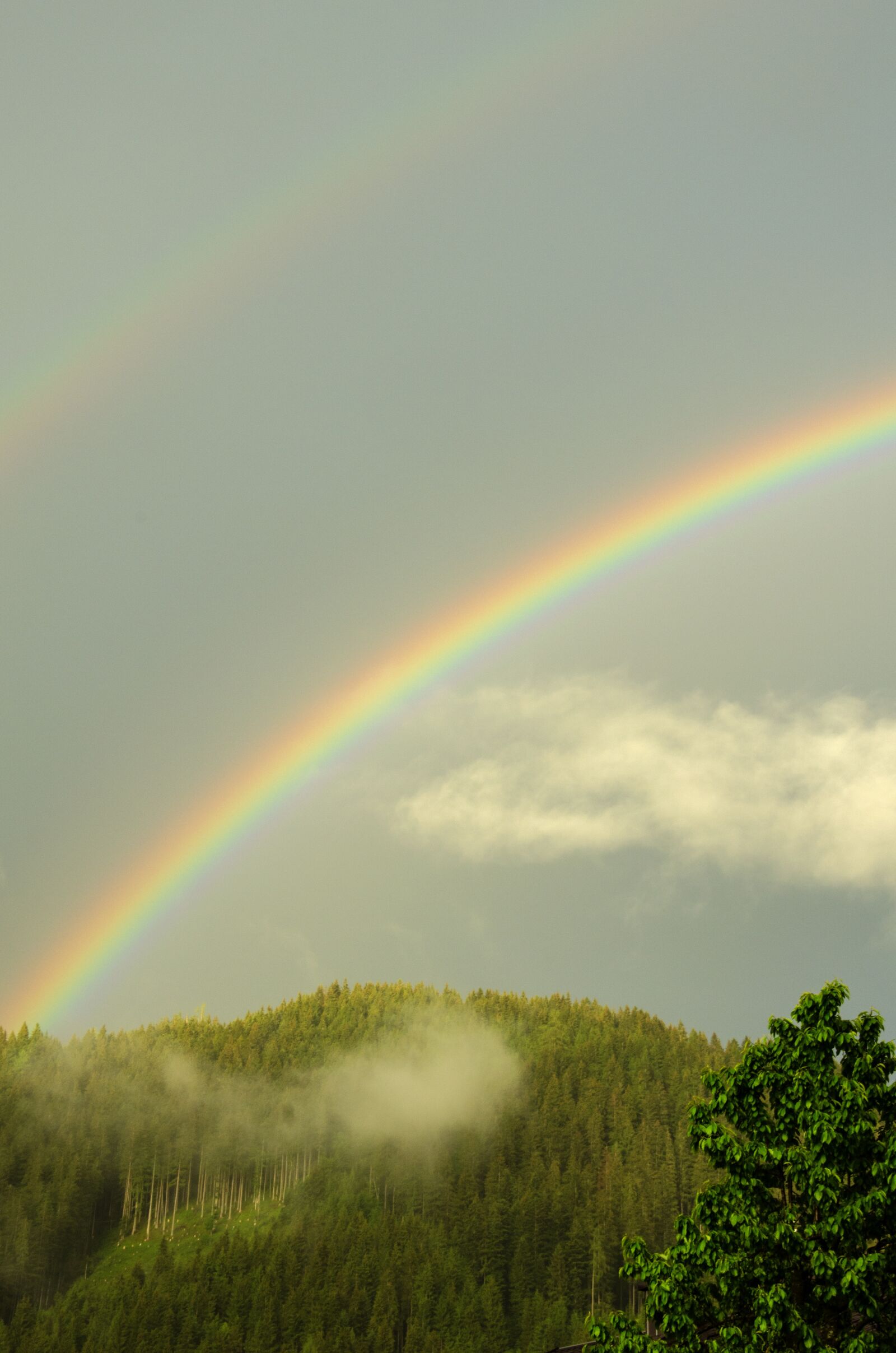 Nikon D5100 sample photo. Rainbow, weather, summer photography