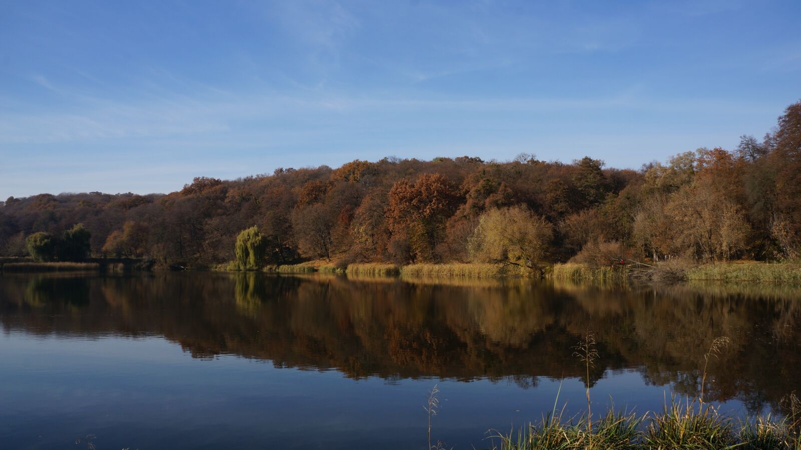 Sony Alpha NEX-5R + Sony E 18-55mm F3.5-5.6 OSS sample photo. Autumn, lake, nature photography