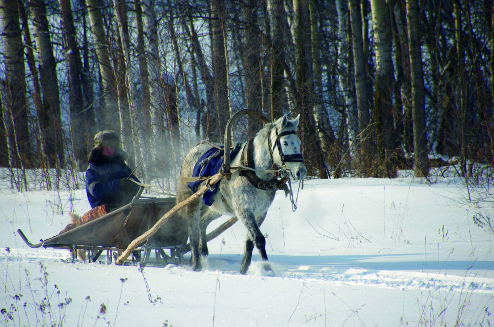 Pentax K-5 sample photo. Russia, siberia, wintry photography