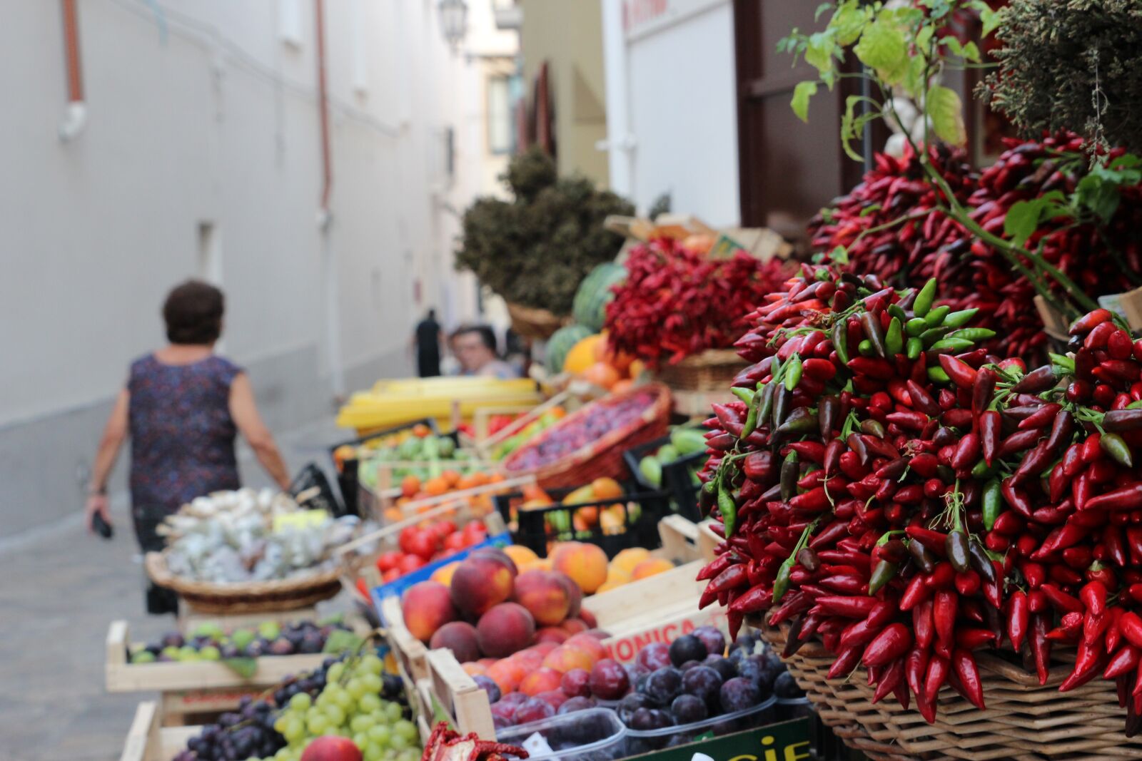 Canon EOS 600D (Rebel EOS T3i / EOS Kiss X5) sample photo. Puglia, italy, south photography