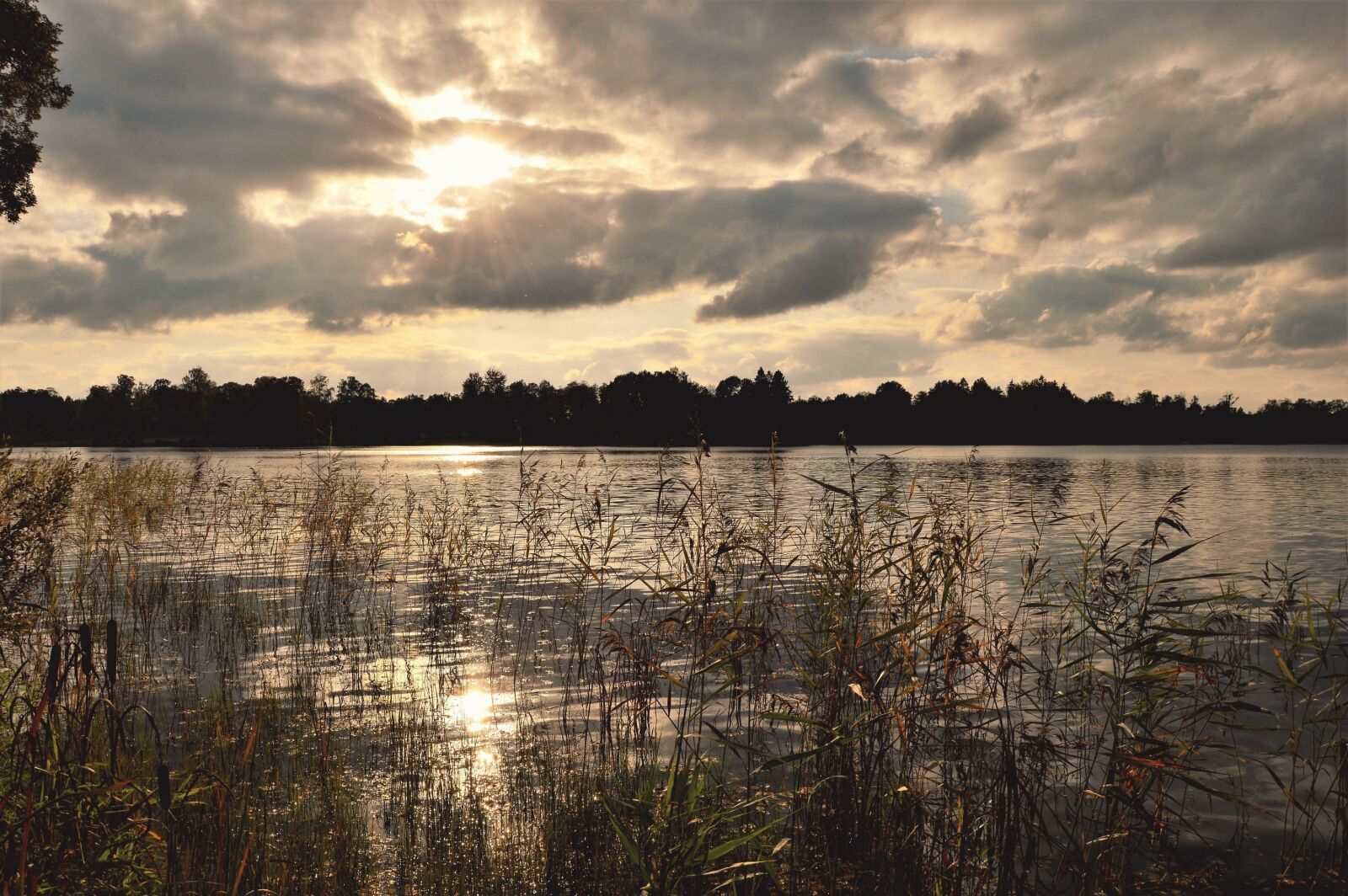 Nikon D3200 sample photo. Lake, water, views photography